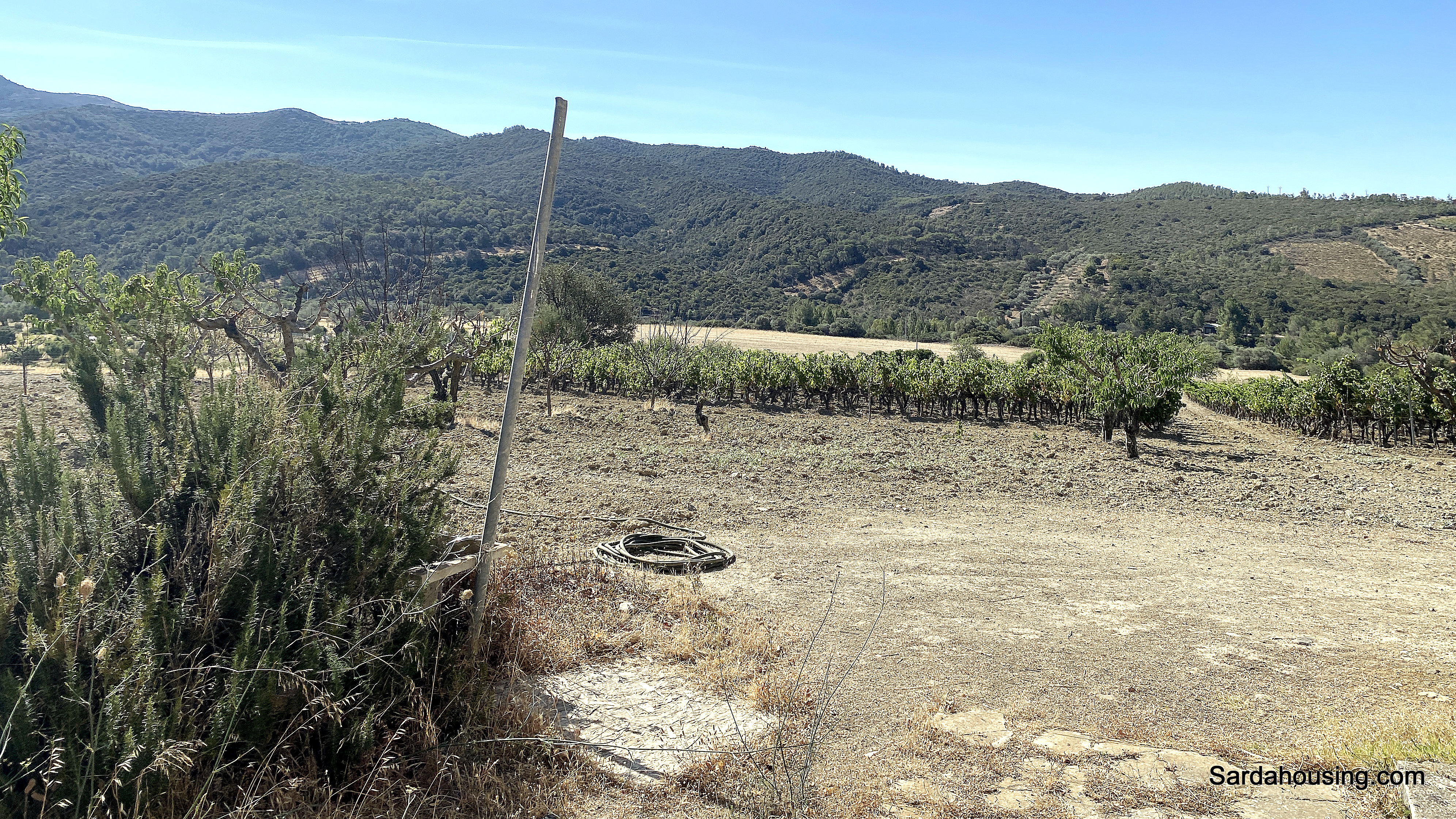 Complesso agricolo Sa Spinarba a Soleminis in vendita - foto 16