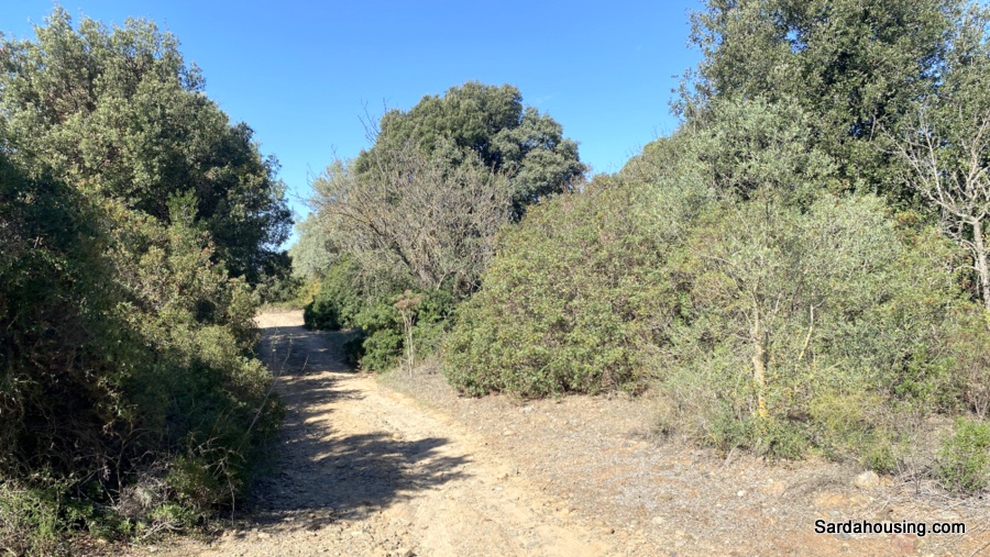 Terreno con olivi e pozzo a Dolianova, Sardegna in vendita - foto 7