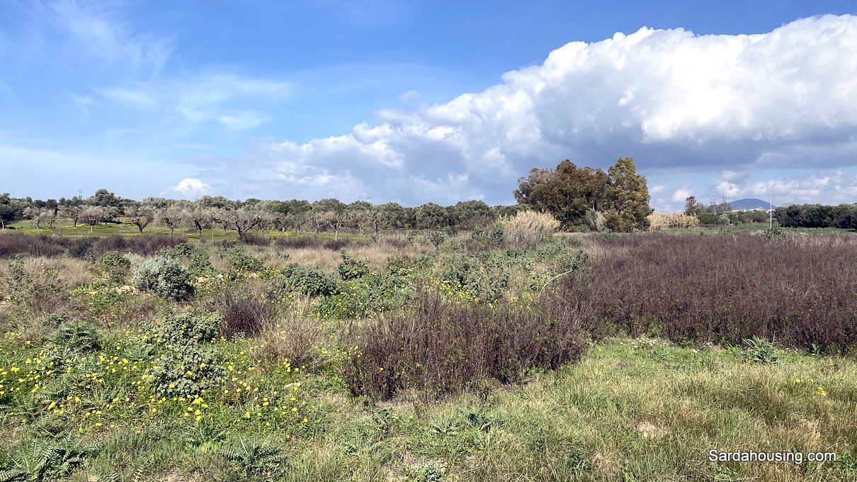 Terreno agricolo a Dolianova in vendita - foto 7