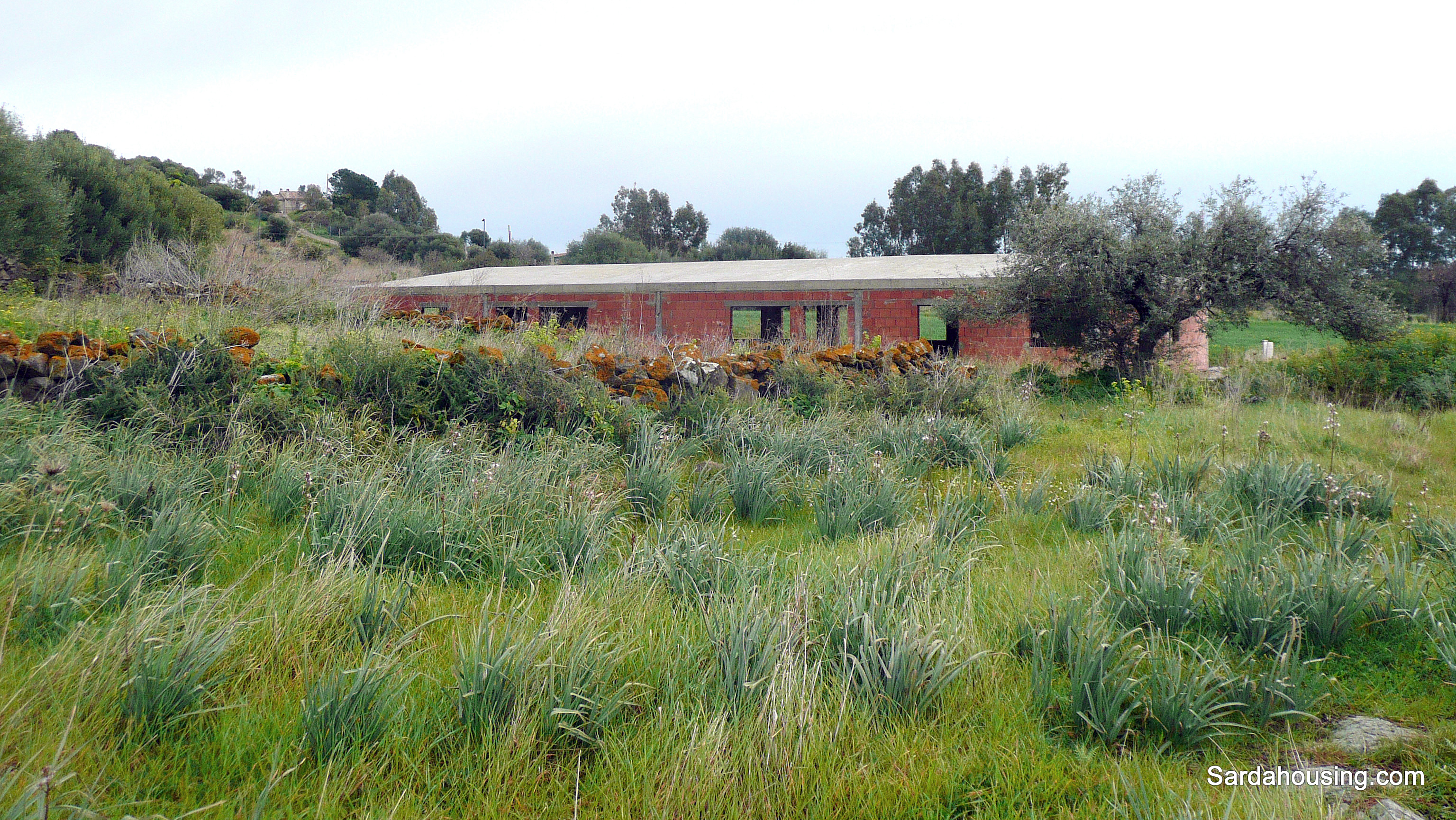 Terreno Sulcintana con costruzioni al grezzo a Pula in vendita - foto 9