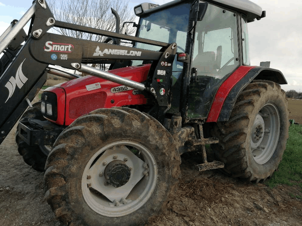 Trattrice gommata Massey Ferguson MF 4355 in vendita - foto 1