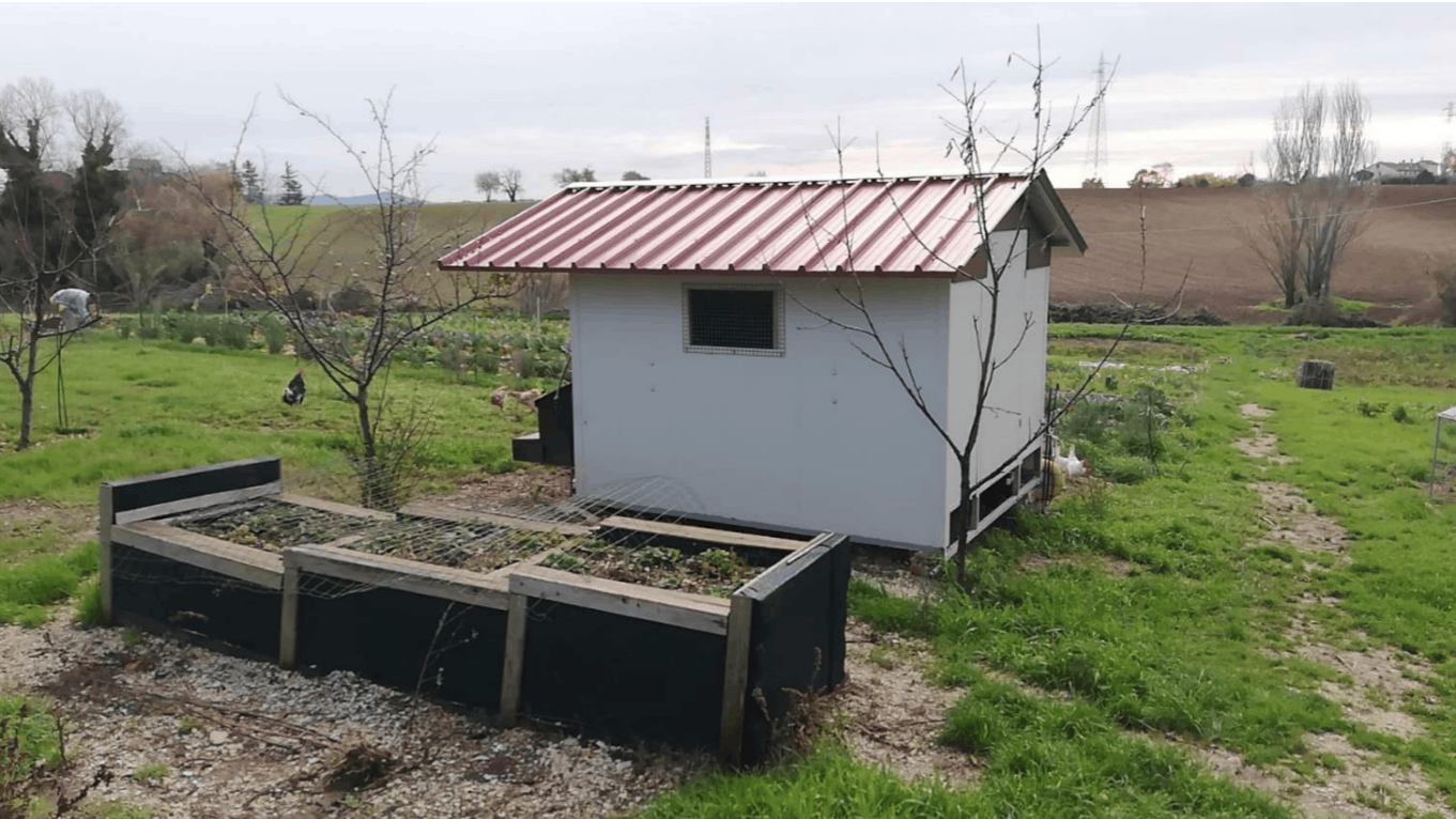 Pollaio mobile su ruote (Gota Nidi) in vendita - foto 1