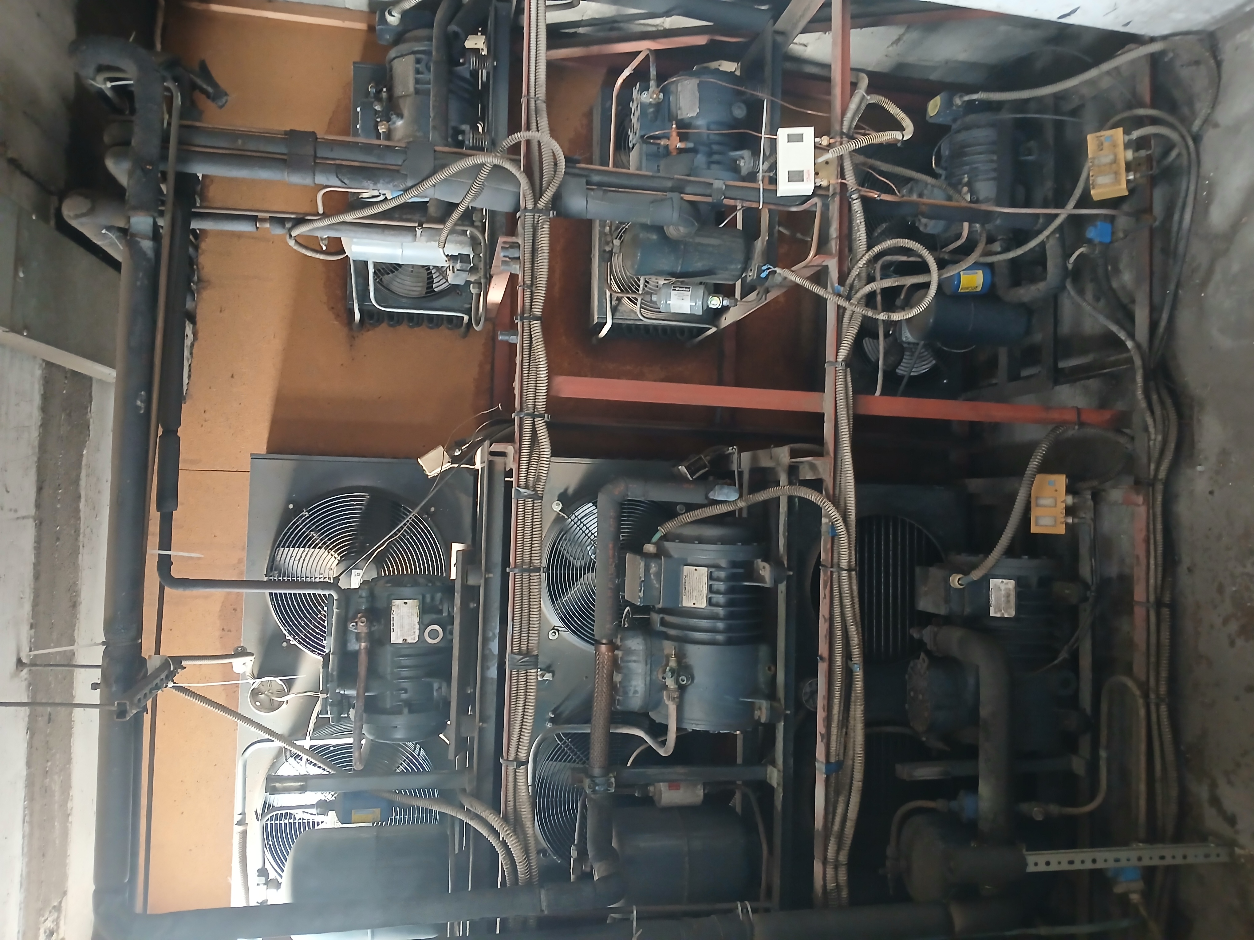 Compressore cella frigo in vendita - foto 1