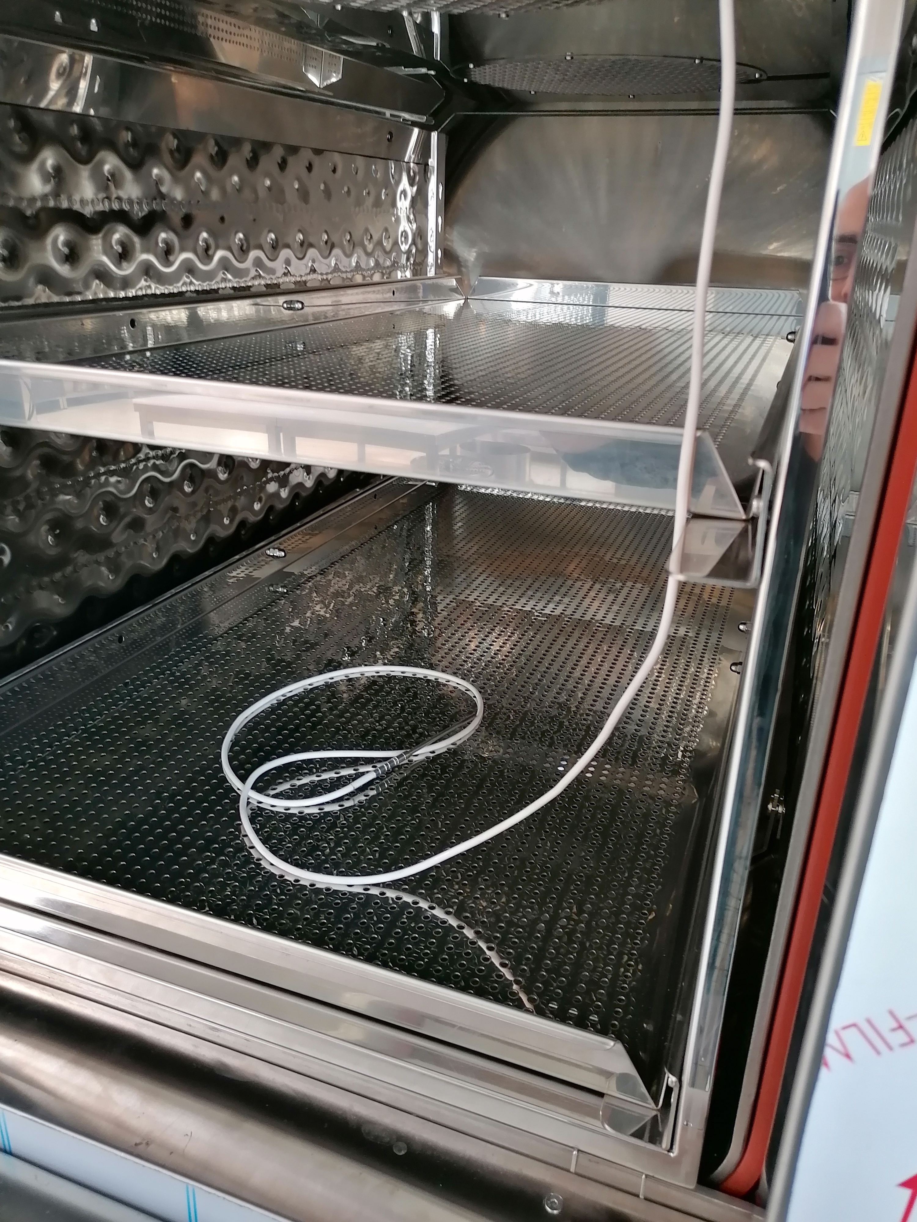 Autoclave Fedegari FOB5L/TS in vendita - foto 4