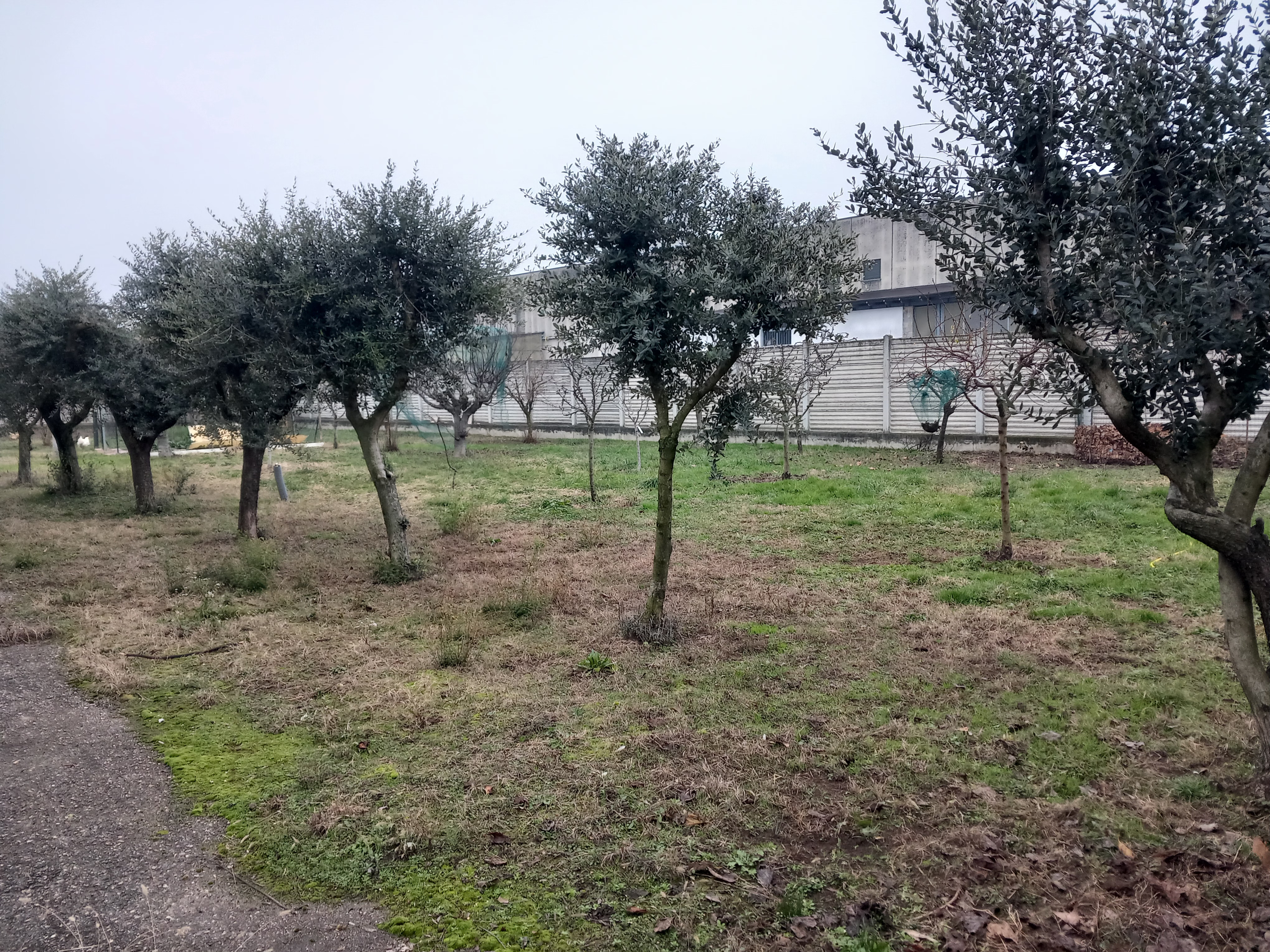 Capannone in Flero in vendita - foto 5