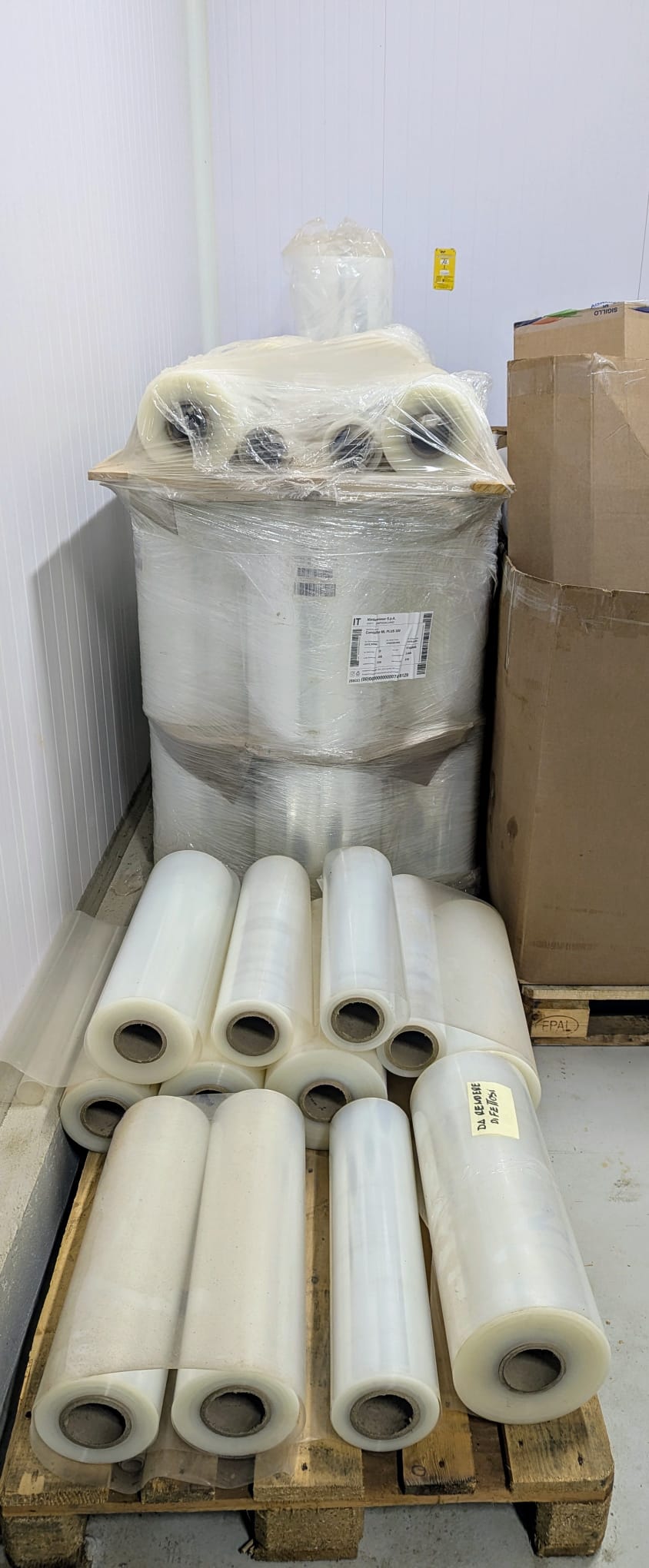 TERMOFORMATRICE SOTTOVUOTO VICTOR in vendita - foto 4