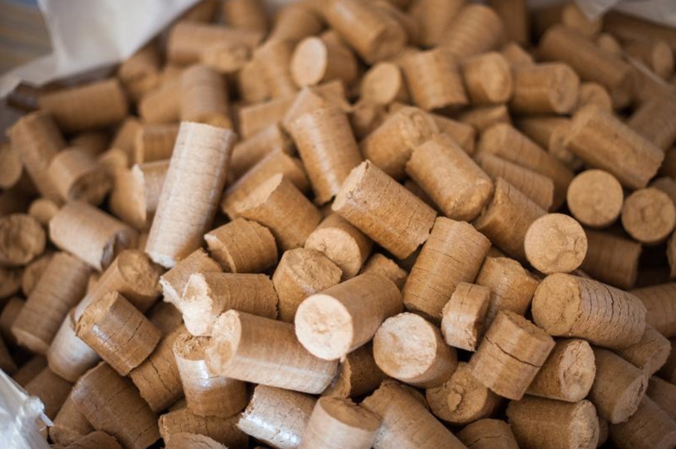 BRICCHETTATRICE P SYSTEM PB 50 – 4,5 kW nuova in vendita - foto 4