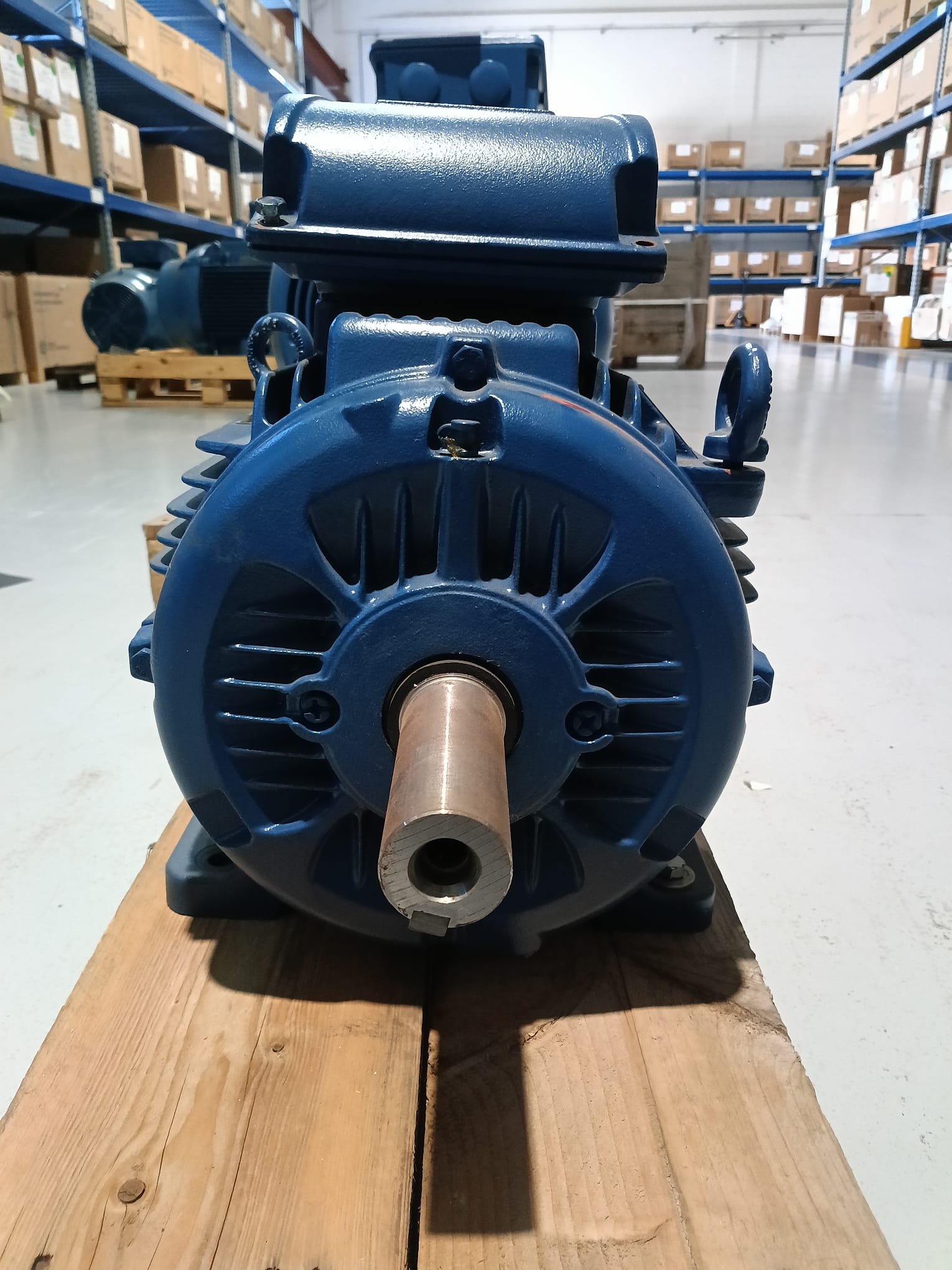 MOTORE WEG TRIFASE 2 POLI 11 kW in vendita - foto 2