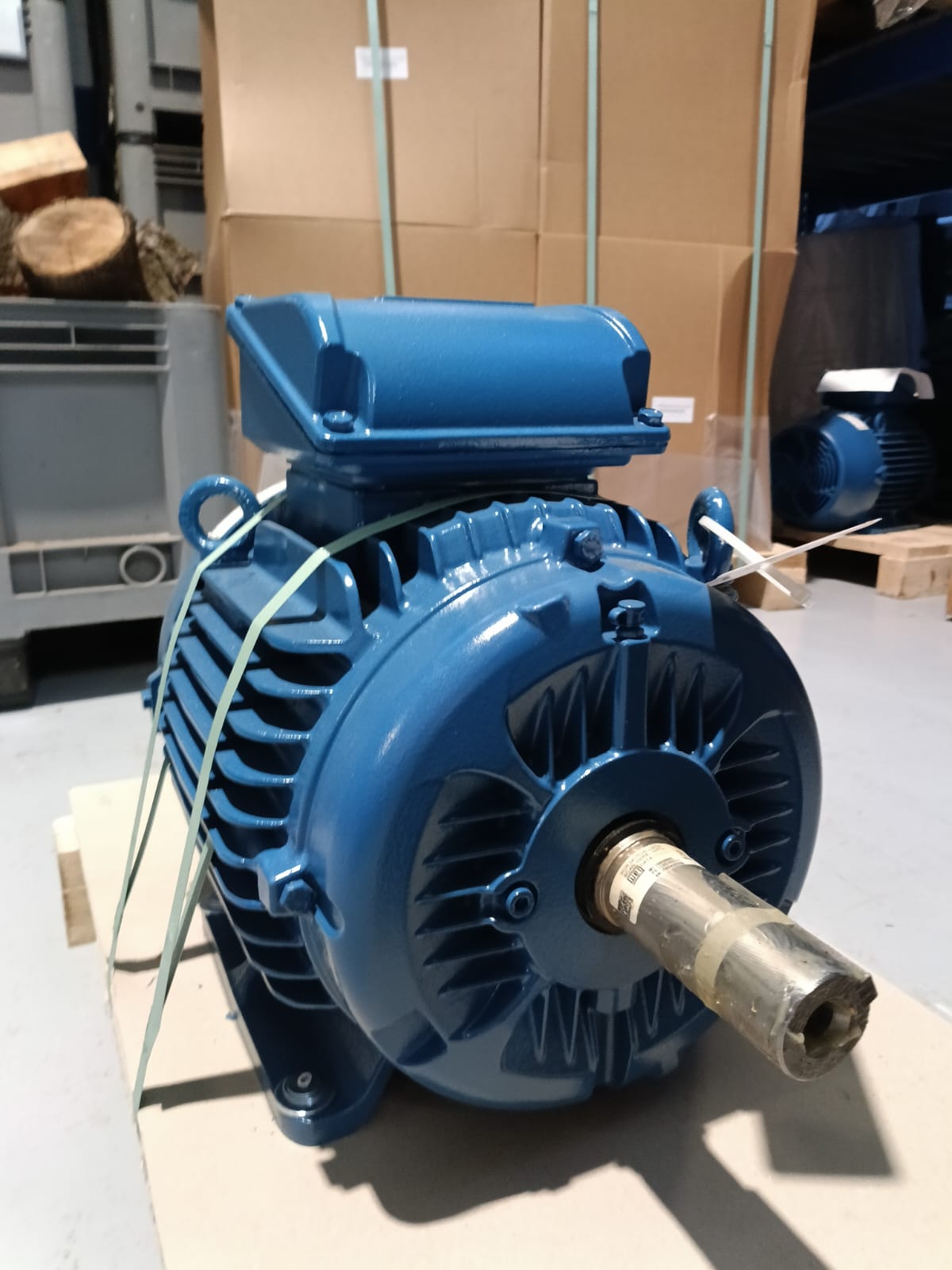 MOTORE WEG TRIFASE 2 POLI 11 kW in vendita - foto 2