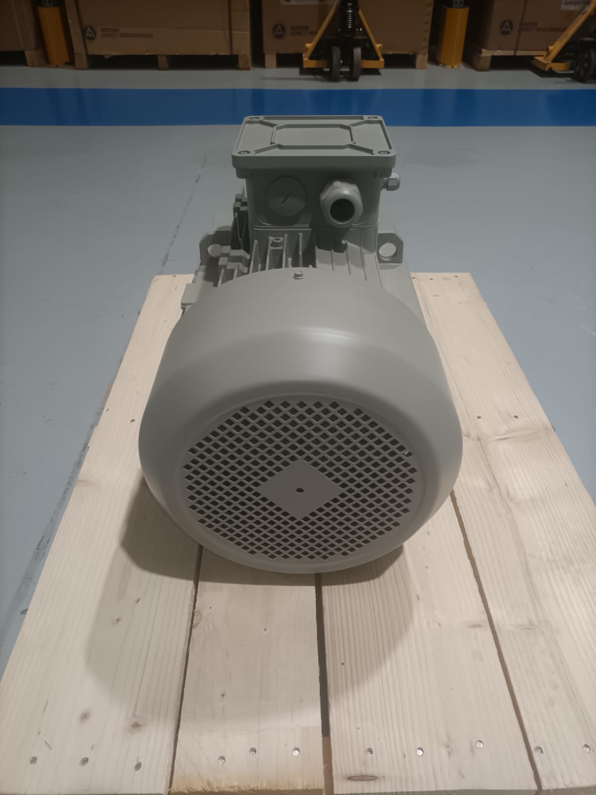 MOTORE ELETTRICO TRIFASE 22 kW in vendita - foto 2