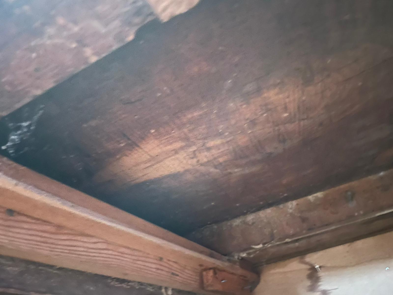 Tavolo falegname banco in legno in vendita - foto 3