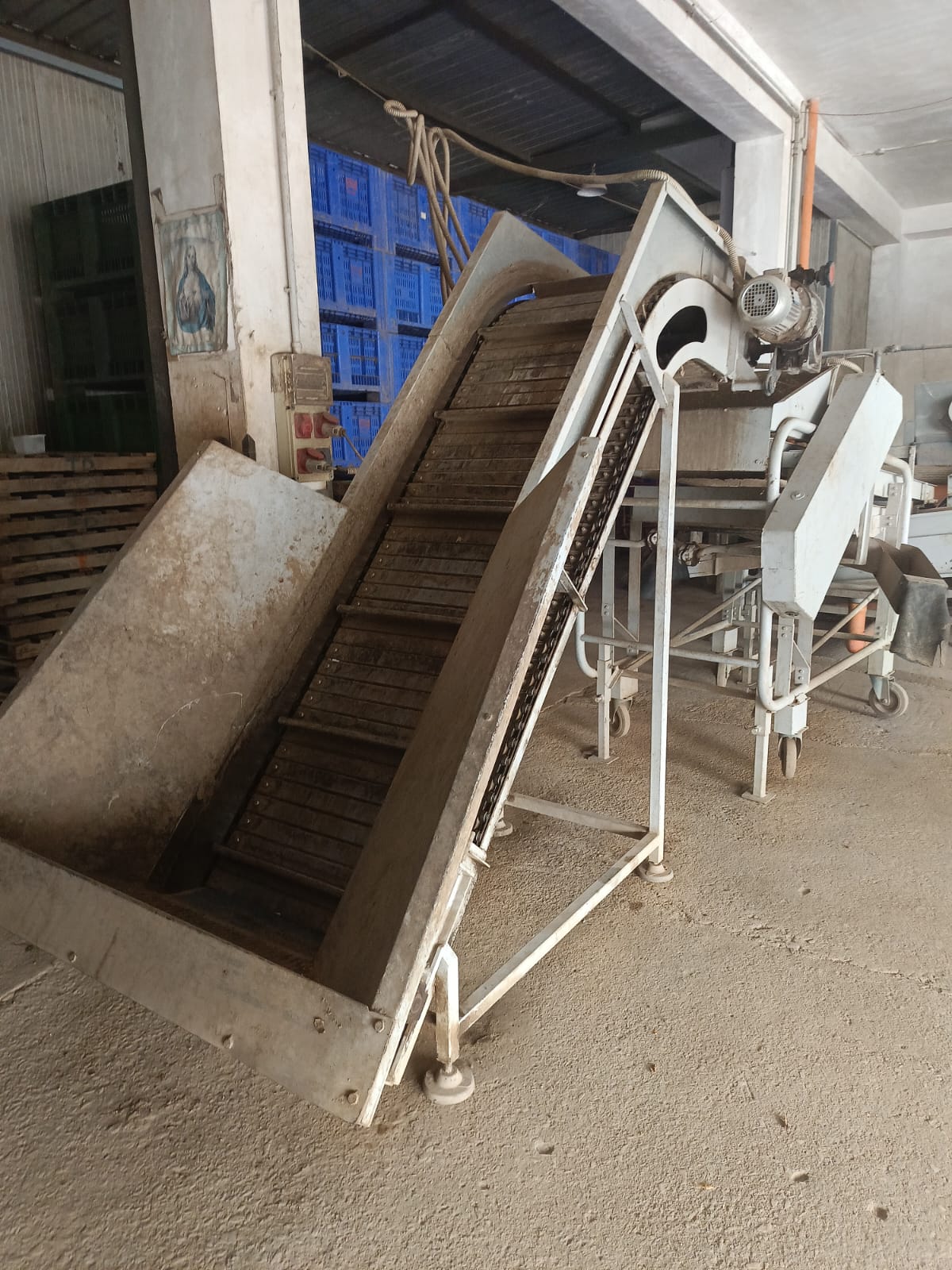 macchinari lavorazione patate in vendita - foto 6