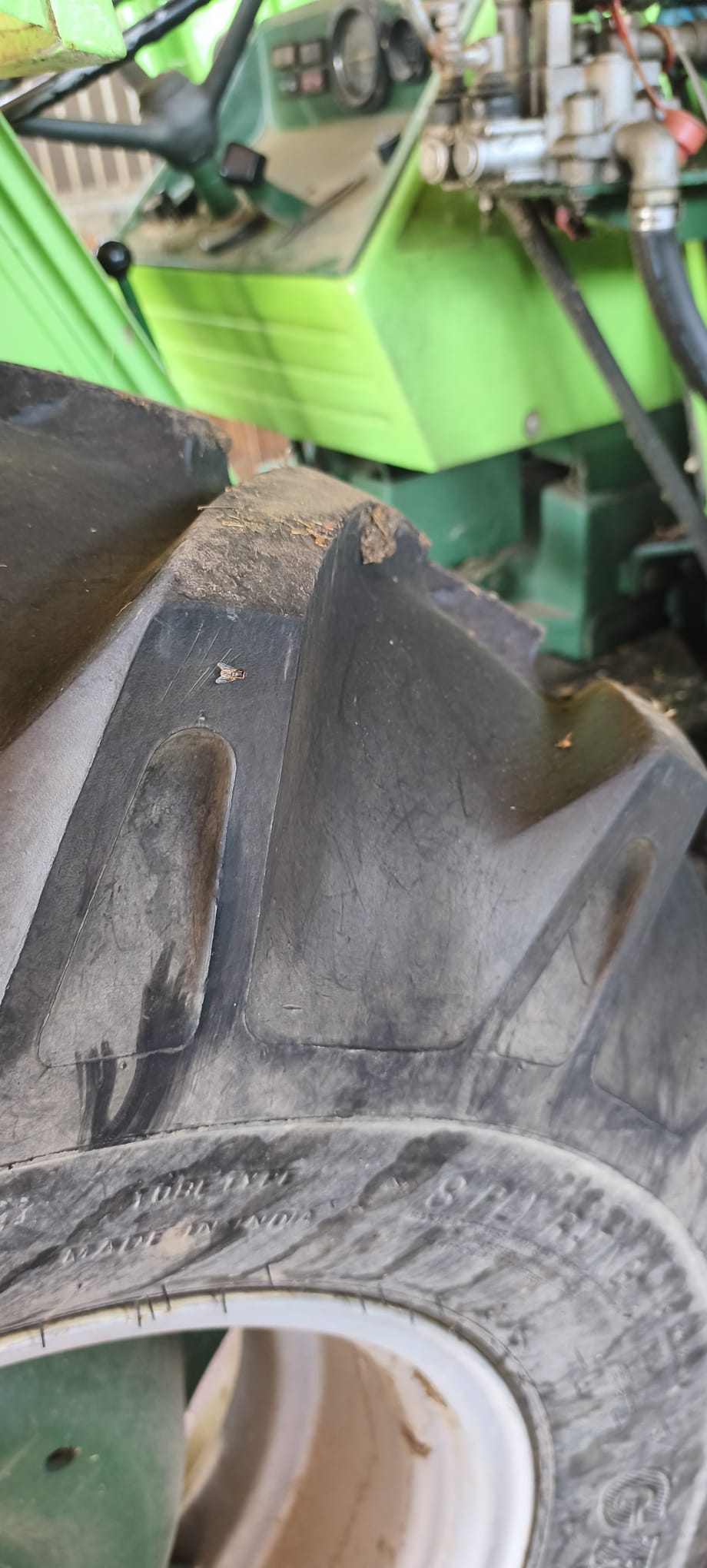 AGRIFULL TOSELLI GRISO 75 DT in vendita - foto 10