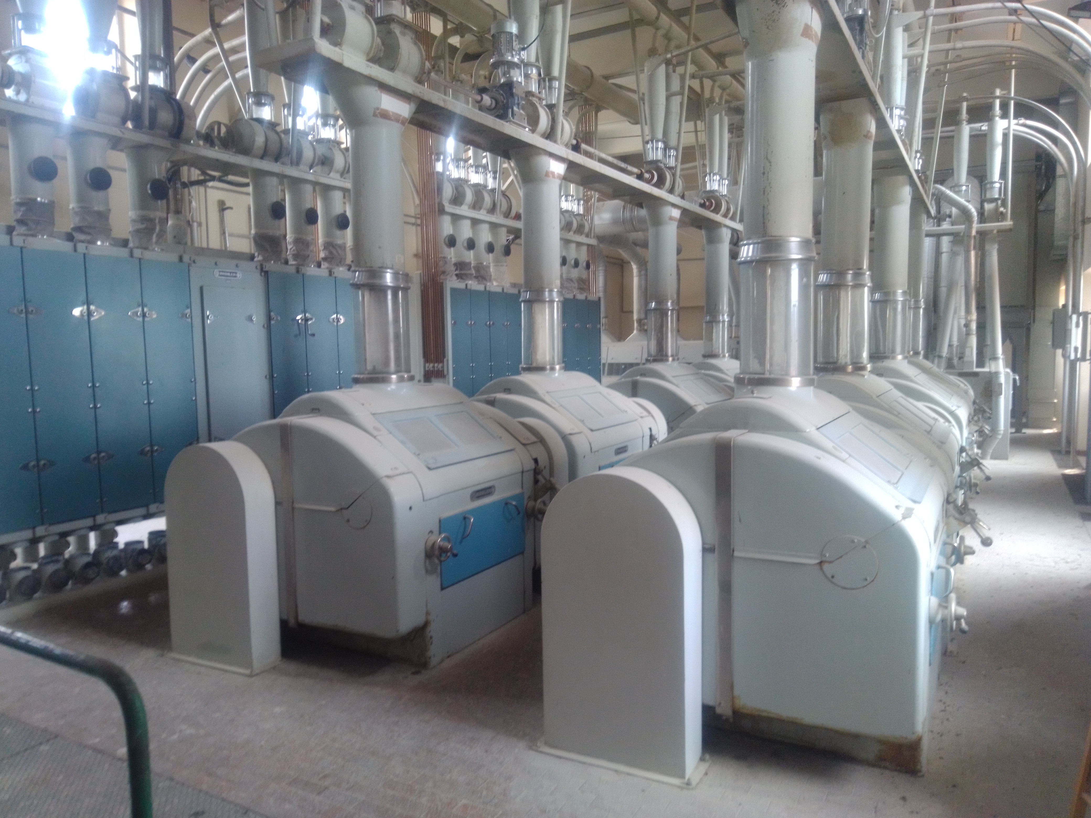Buhler: macchinari molitura grano e meliga  in vendita - foto 1