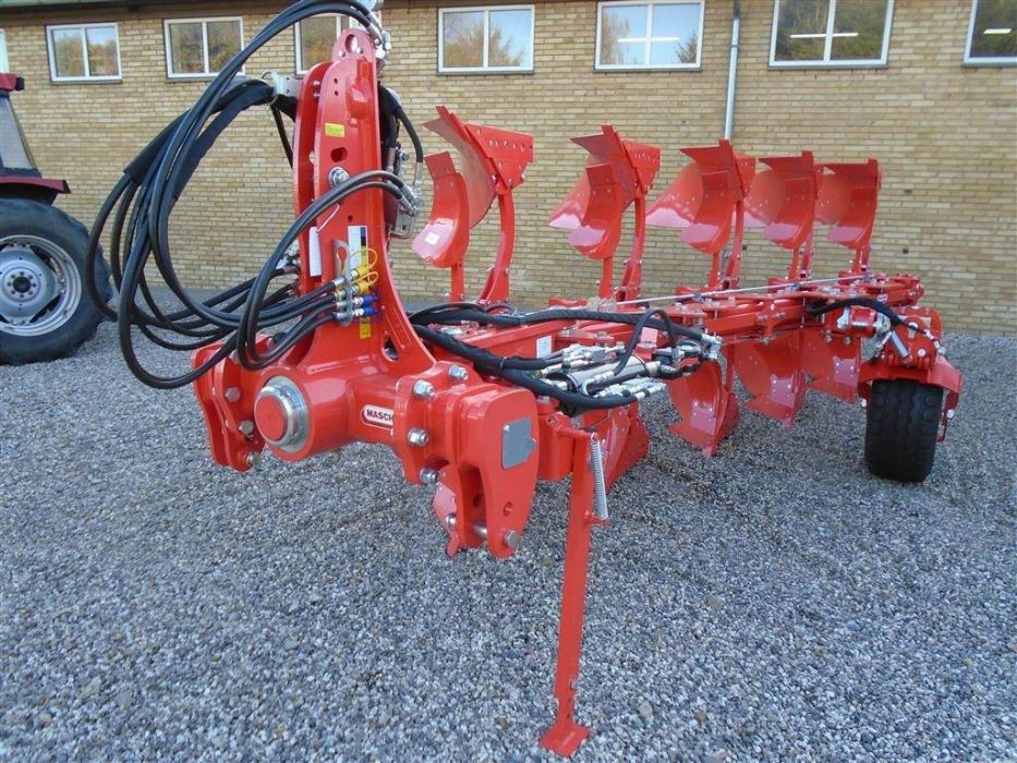 Maschio Unico L 5+ in vendita - foto 2