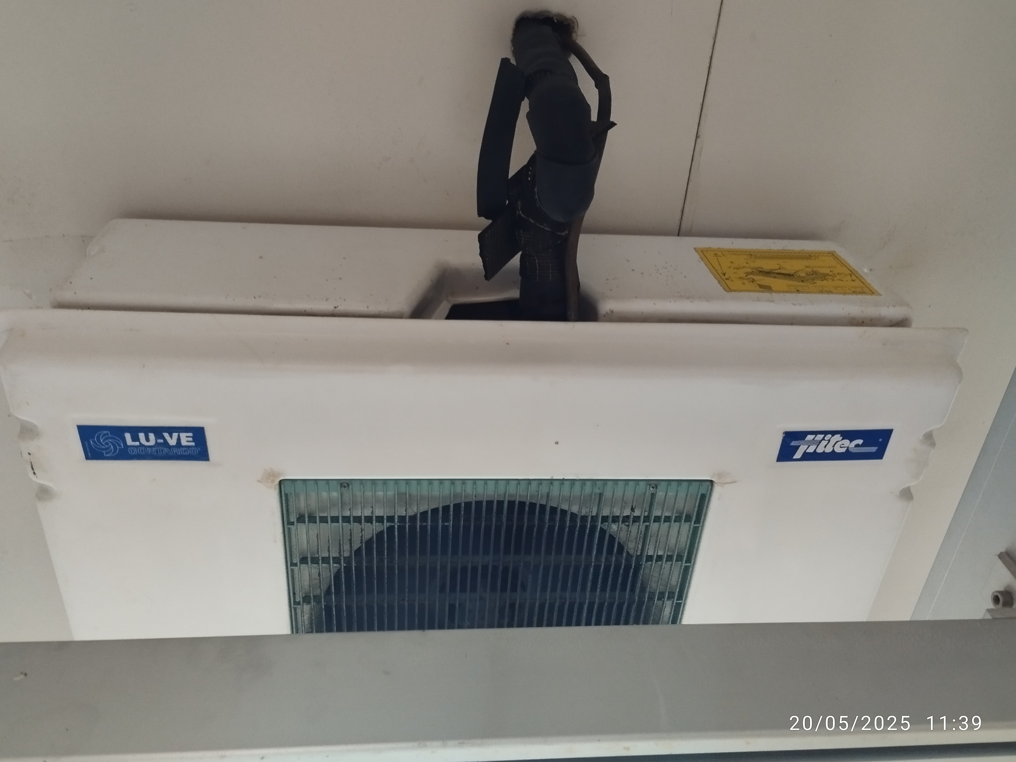 Impianto di celle frigorifero in vendita - foto 3