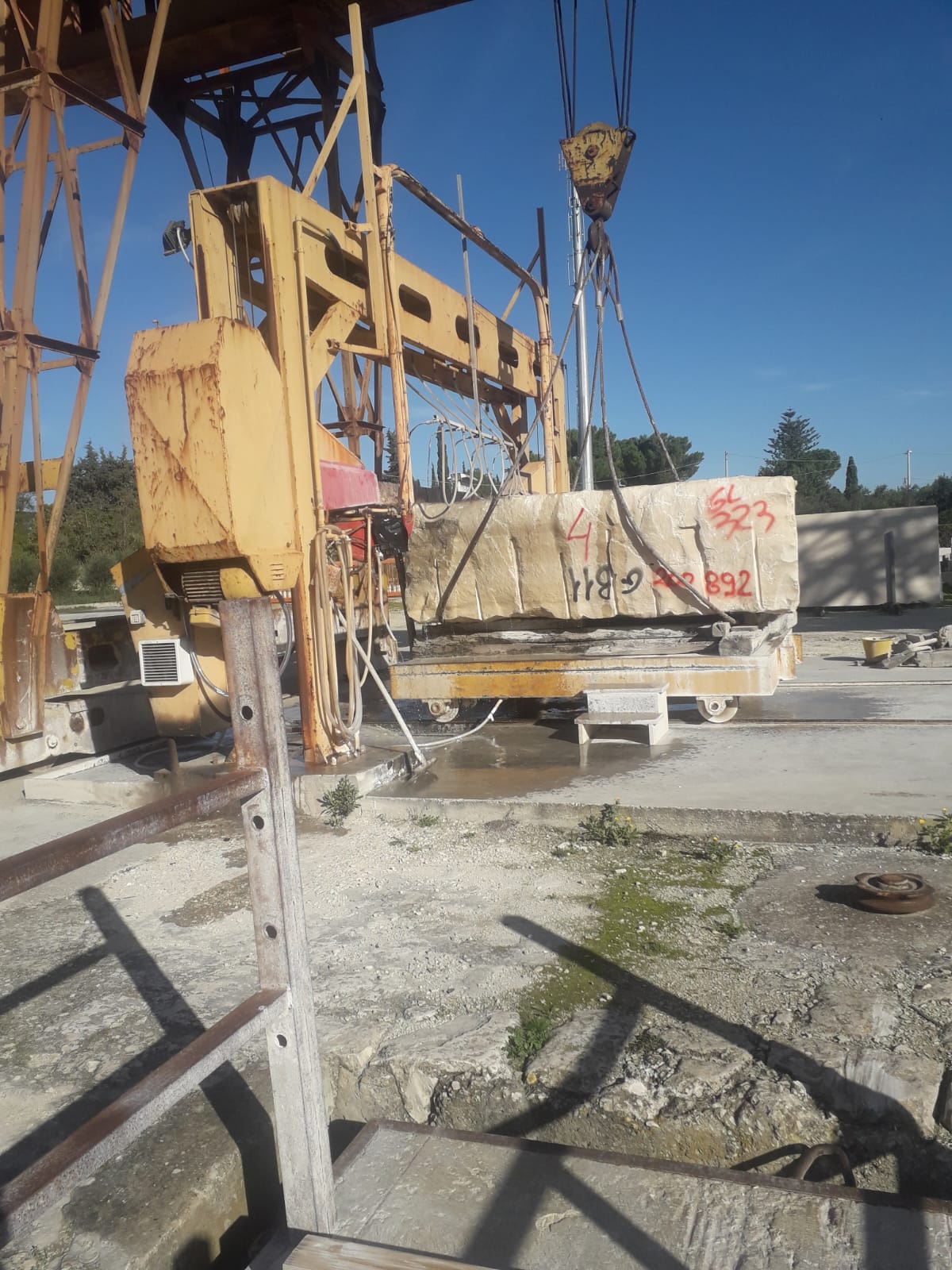 Monolama diamantato  in vendita - foto 3