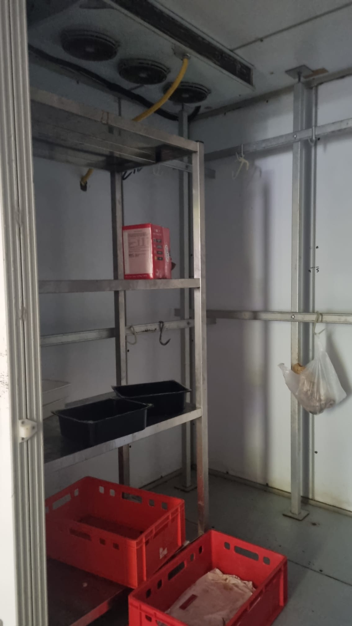 CELLE - BANCHI FRIGO - ATTREZZATURA PER MACELLERIA in vendita - foto 3