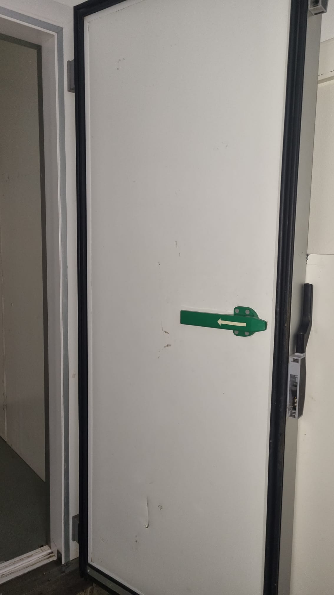 CELLE - BANCHI FRIGO - ATTREZZATURA PER MACELLERIA in vendita - foto 4