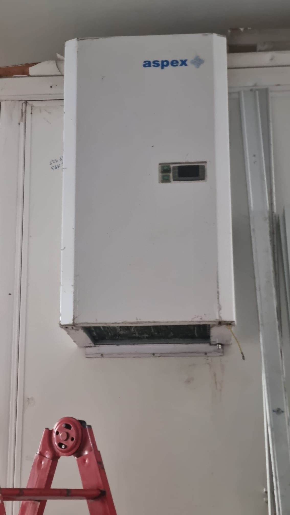 CELLE - BANCHI FRIGO - ATTREZZATURA PER MACELLERIA in vendita - foto 7