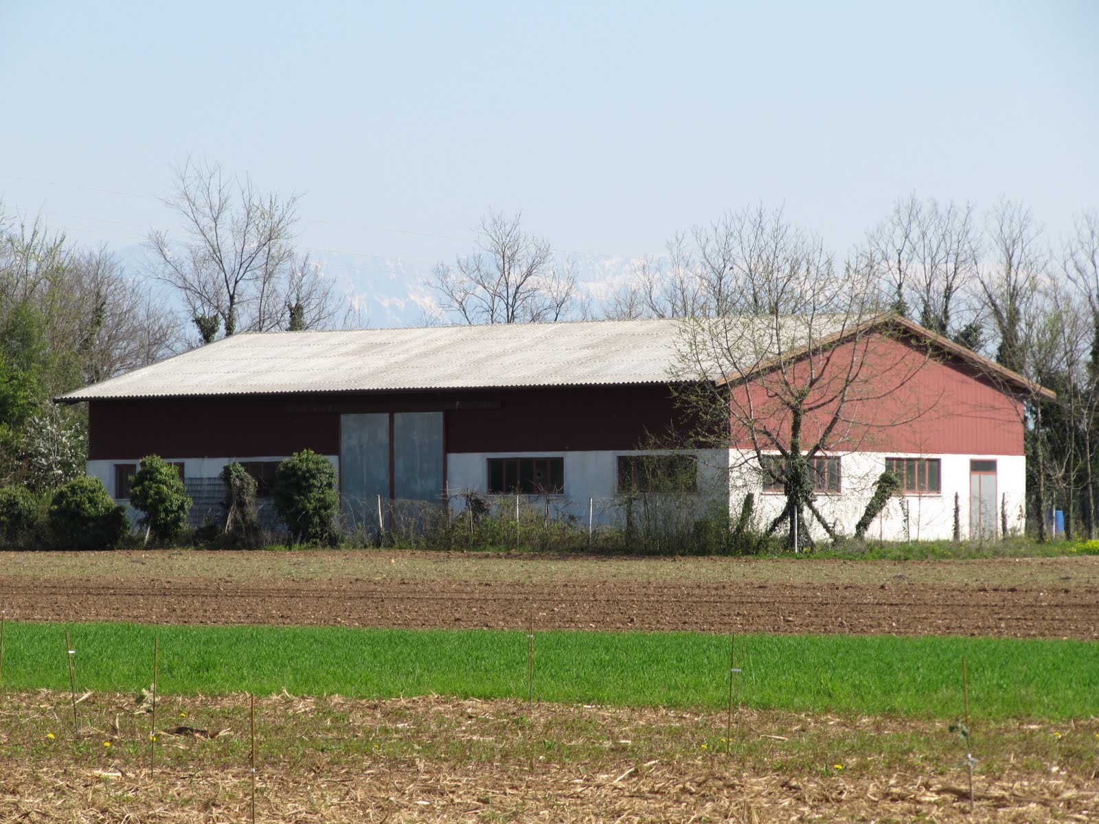Capannoni in vendita