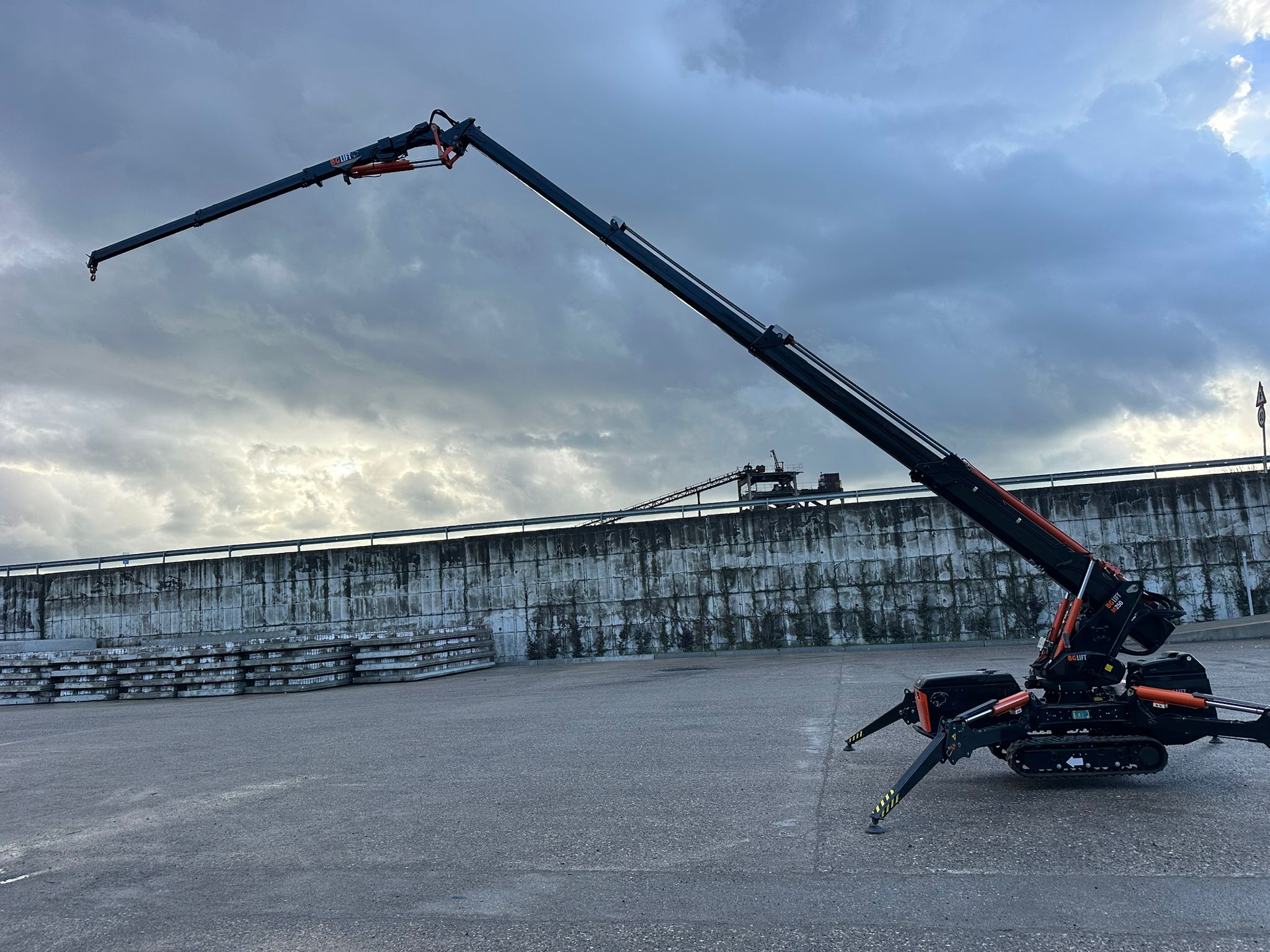 Gru cingolata BG Lift M250 in vendita - foto 2