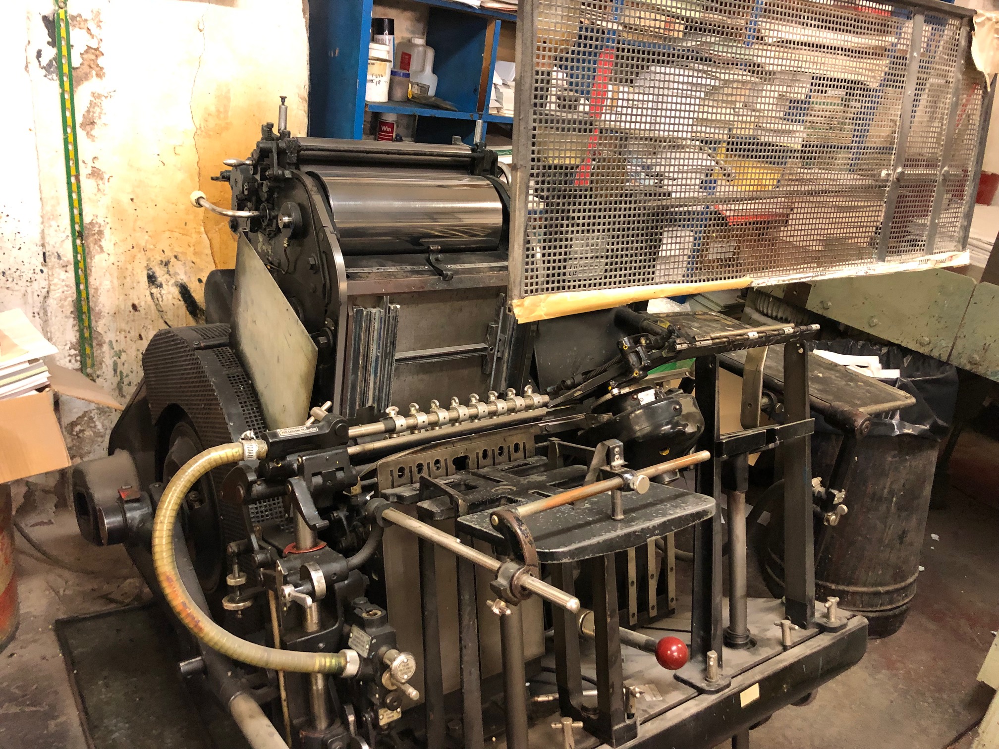 Heidelberg stella Mulinello 25x35 in vendita - foto 5