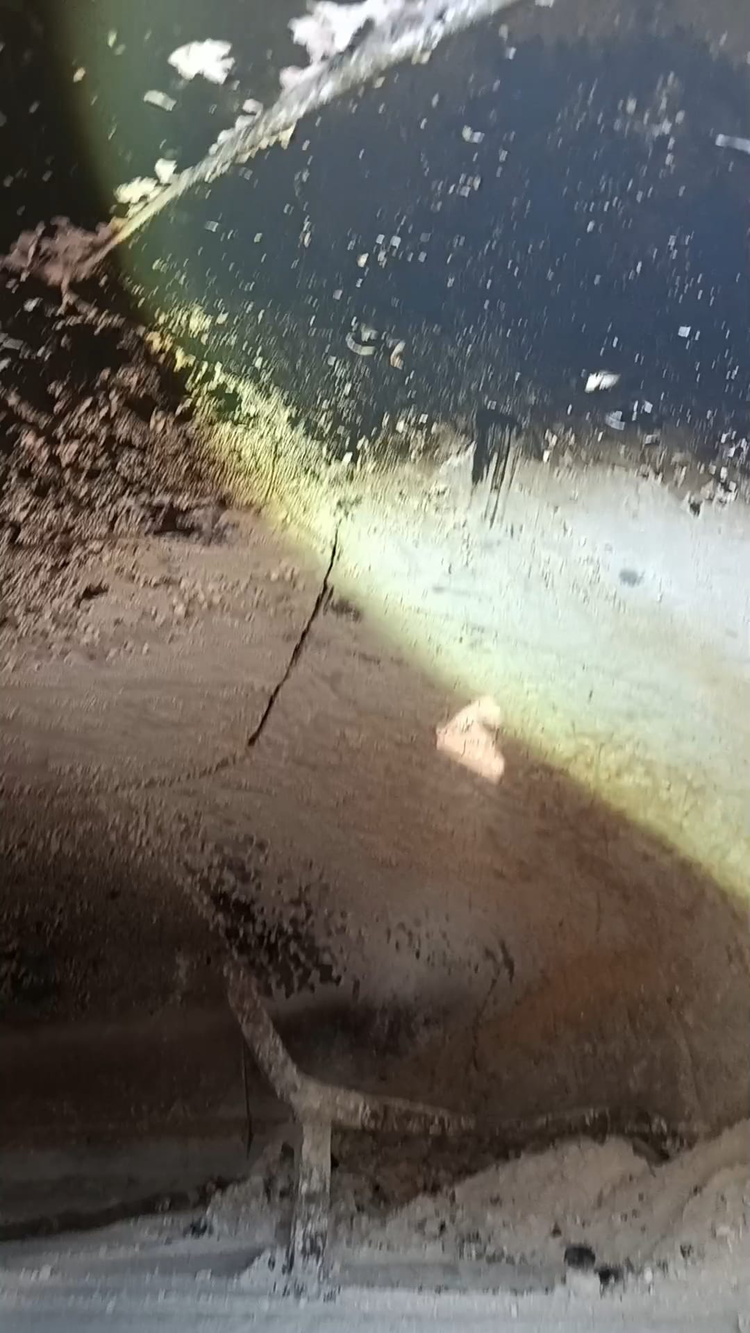Forno a legna PAVESI pizzeria in vendita - foto 12