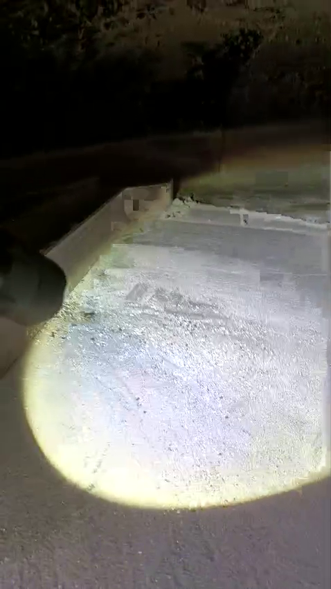 Forno a legna PAVESI pizzeria in vendita - foto 16