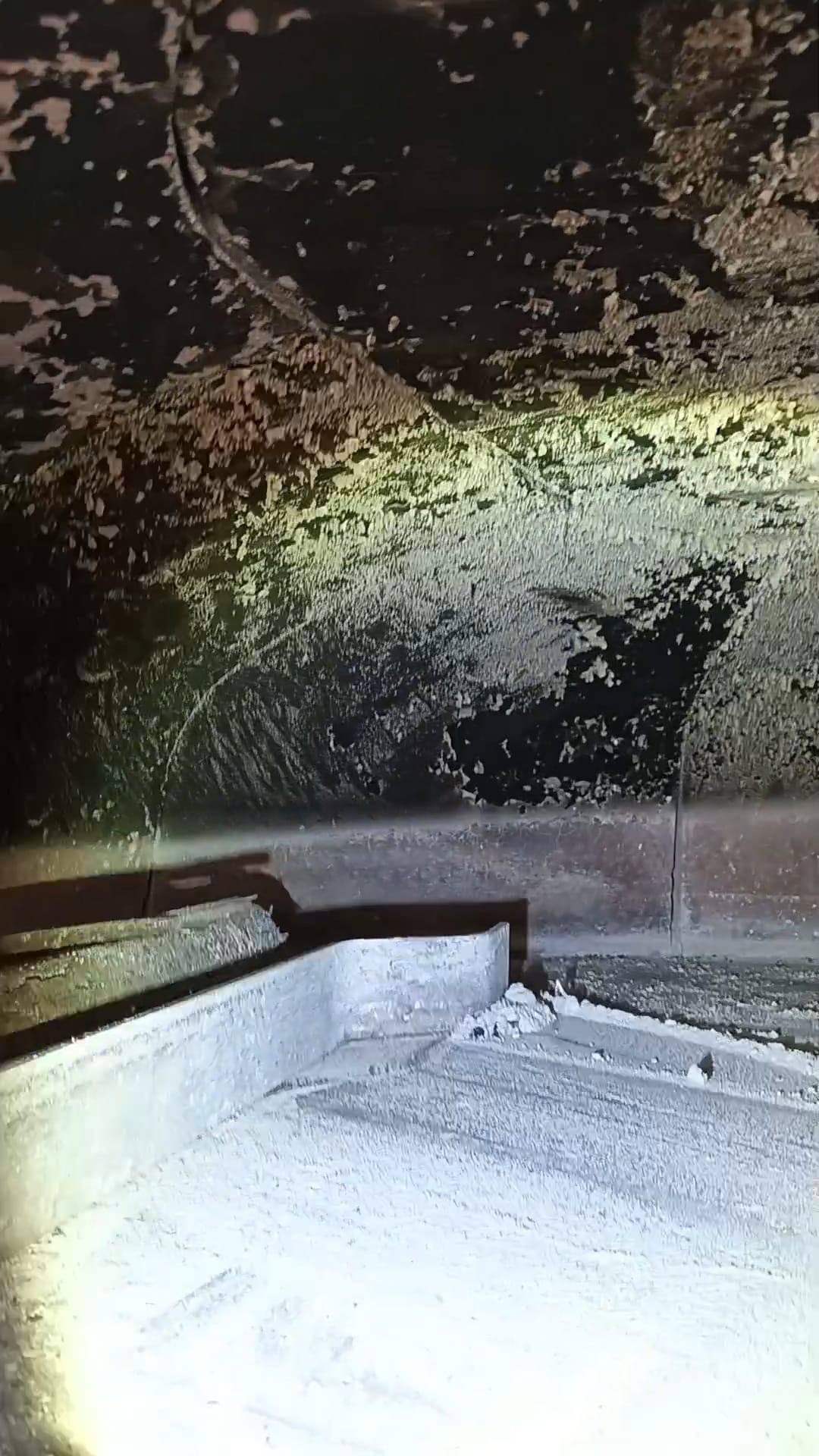Forno a legna PAVESI pizzeria in vendita - foto 7