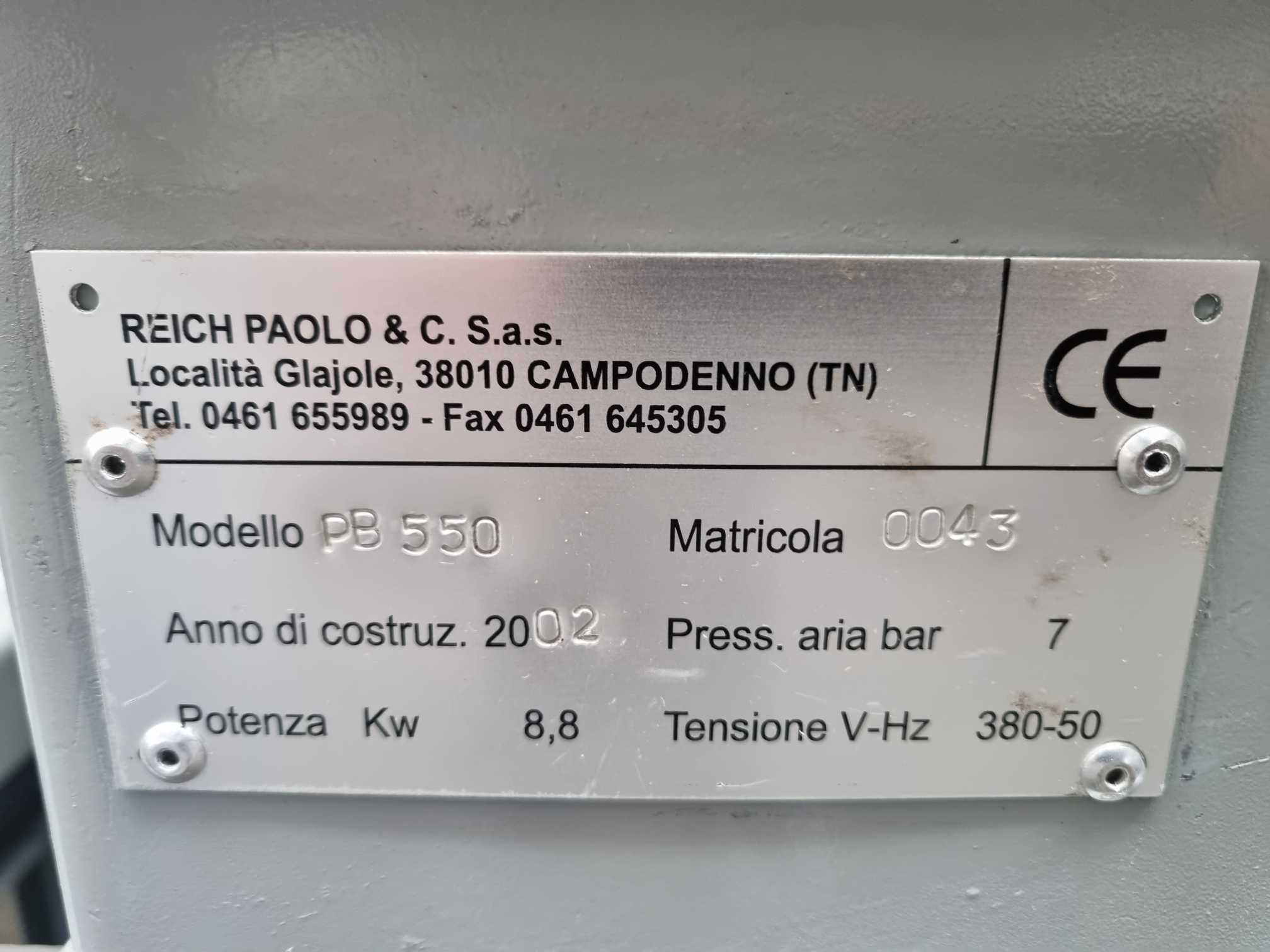 Troncatrice per cubetti di pallet - REICH PB550-2 in vendita - foto 8