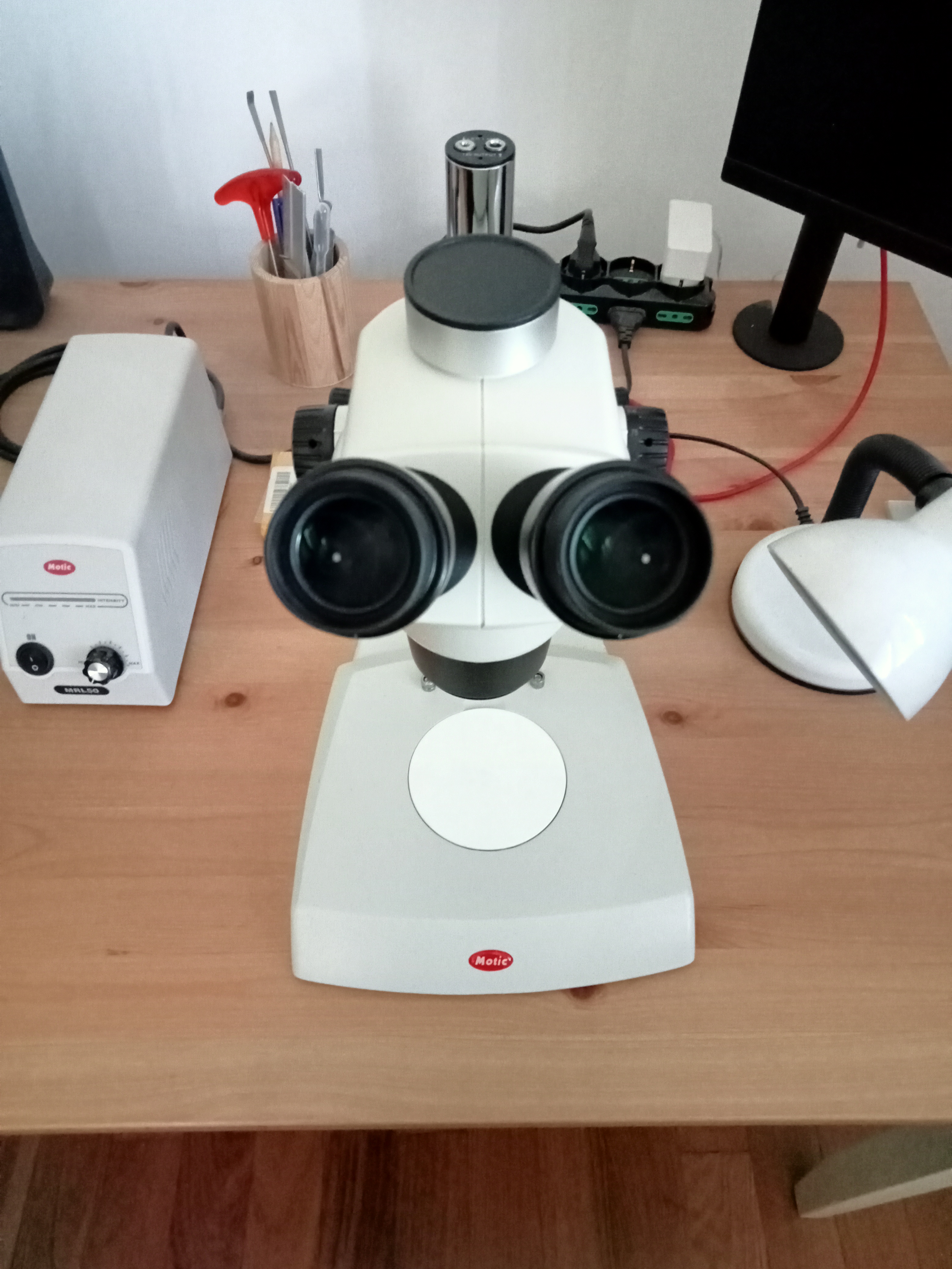 Microscopio stereo trinoculare Motic SMZ-171-TP in vendita - foto 3