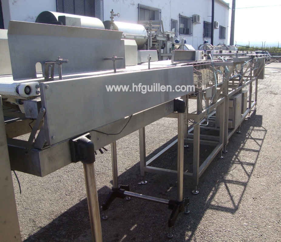 SELEZIONATORE GRADER FAC 9 PESI PER CARNE E PESCE in vendita - foto 6