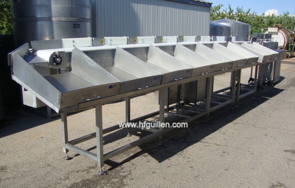 SELEZIONATORE GRADER FAC 9 PESI PER CARNE E PESCE in vendita - foto 3