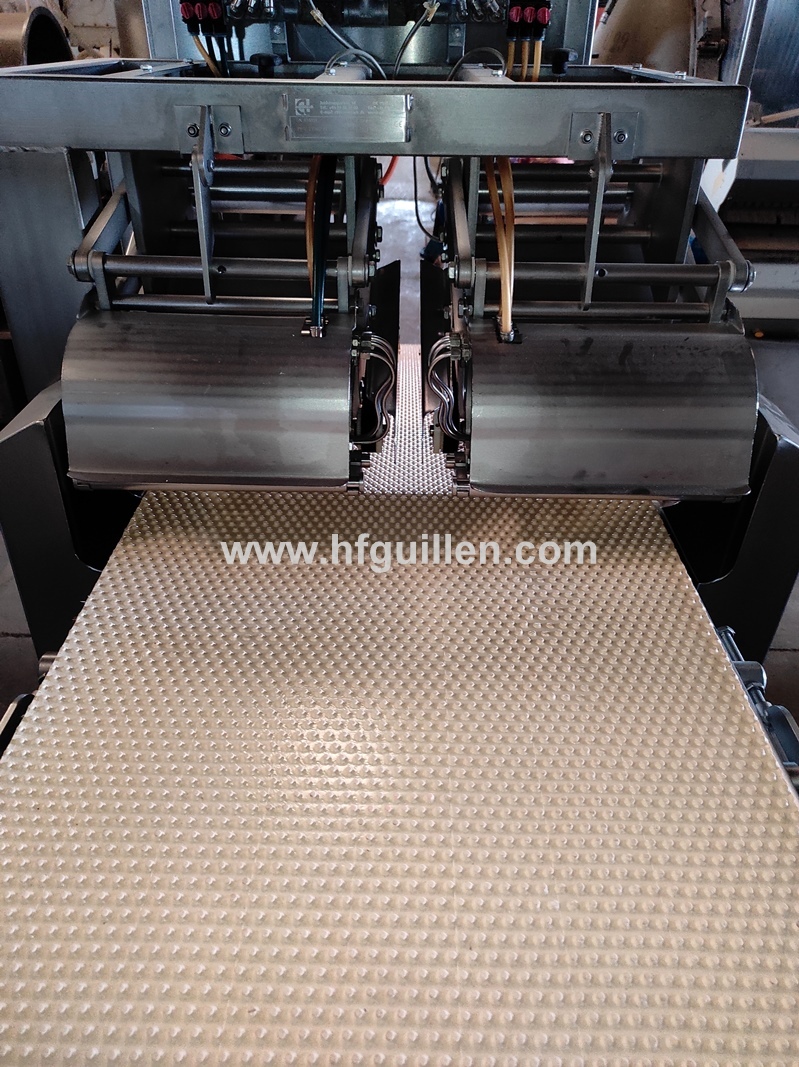 TOGLI LISCHE DI SALMONE CARNITECH CT2612 DOPPIA LINEA in vendita - foto 5