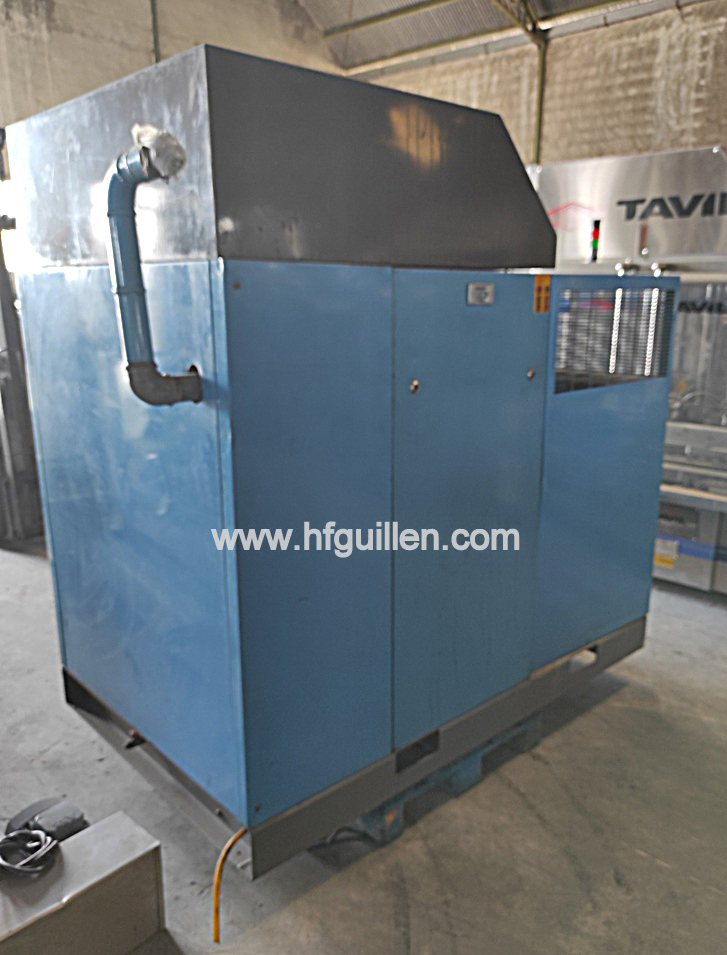 COMPRESSORE A VITE WORTHINGTON CREYSSENSAC ROLLAIR in vendita - foto 2