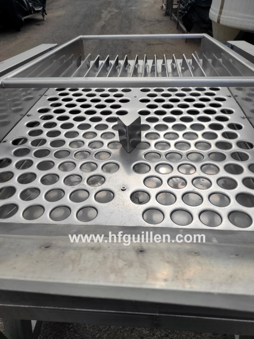 TRASPORTATORE ALLINEATORE VIBRANTE PER PESCHE FMA INOX in vendita - foto 4