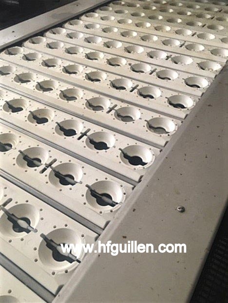 DENOCCIOLATRICE DI PESCHE CTI FOODTECH 320 APA in vendita - foto 2