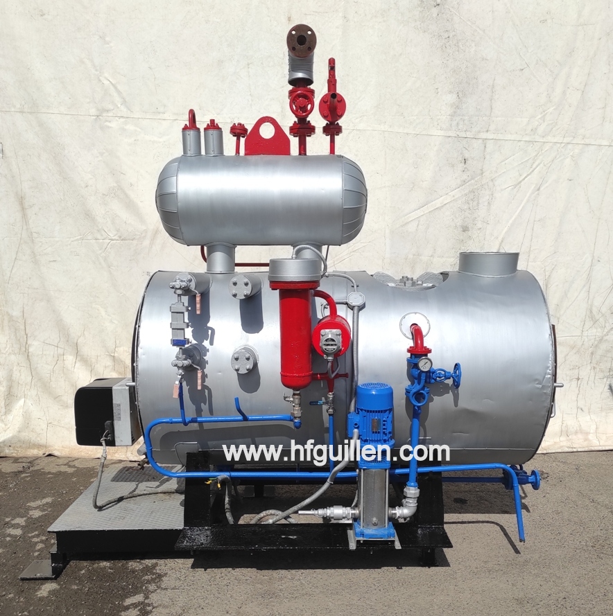 GENERATORE DI VAPORE INDUSTRIALE A GASOLIO 300 kg/h in vendita - foto 4
