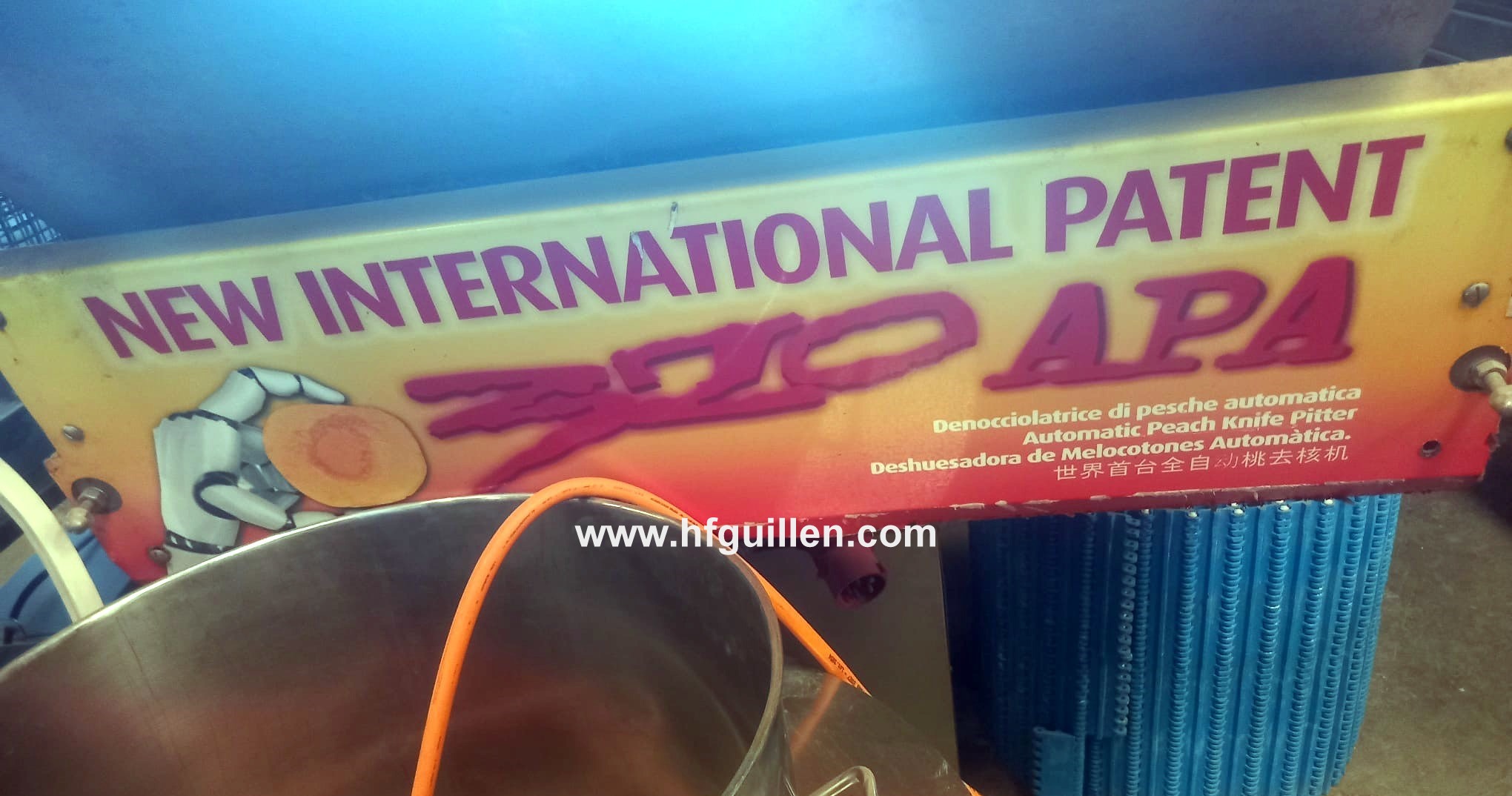 DENOCCIOLATRICE DI PESCHE CTI FOODTECH 320 APA in vendita - foto 4