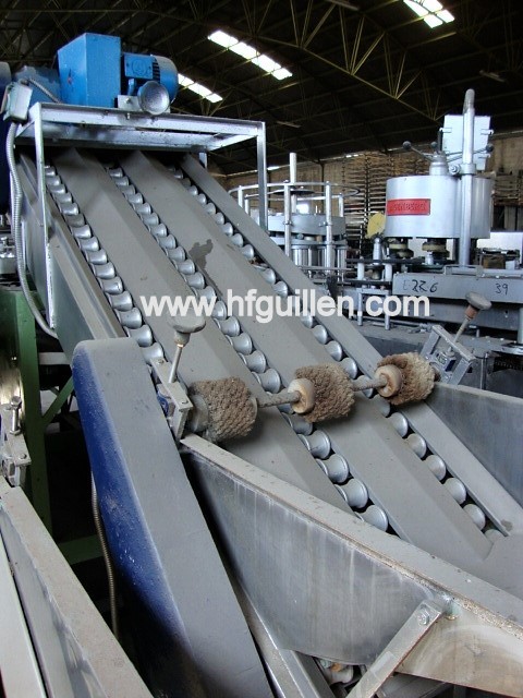 REF-429-430 DENOCCIOLATRICE DI ALBICOCCHE in vendita - foto 3