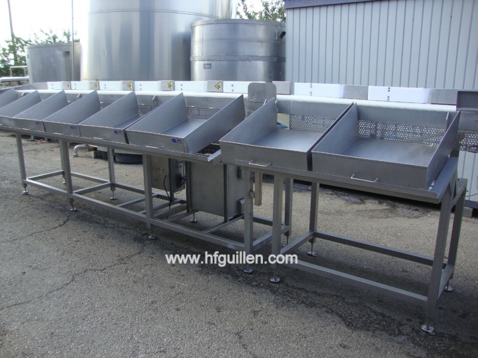 SELEZIONATORE GRADER FAC 9 PESI PER CARNE E PESCE in vendita - foto 2