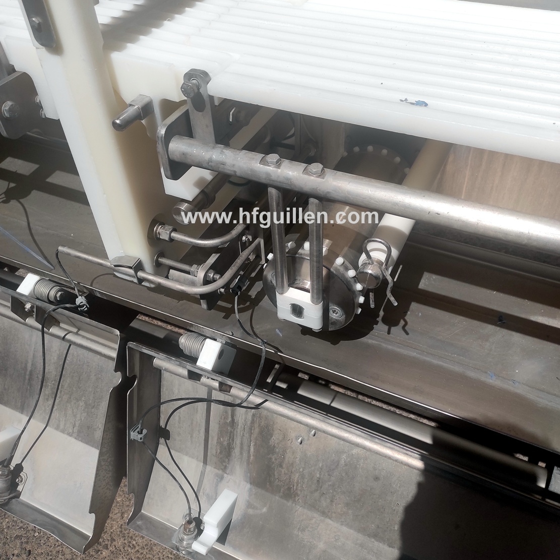 TAGLIERINA PORZIONATRICE MAREL LASER EYE IPM3 X300 in vendita - foto 11