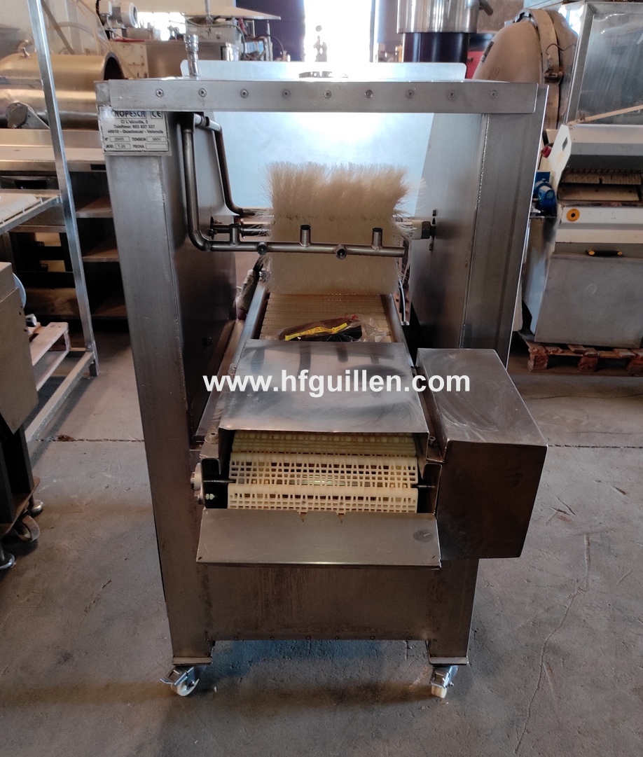 REF-2539 LAVATRICE SPAZZOLATRICE PER SALMONE TECNOPESCA in vendita - foto 1