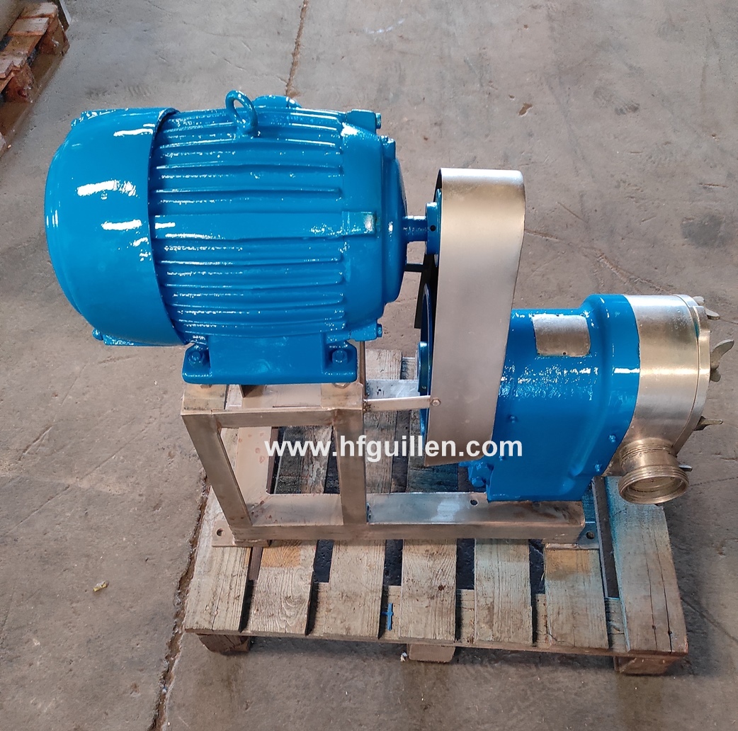 POMPA A LOBI WAUKESHA 5 CV in vendita - foto 2