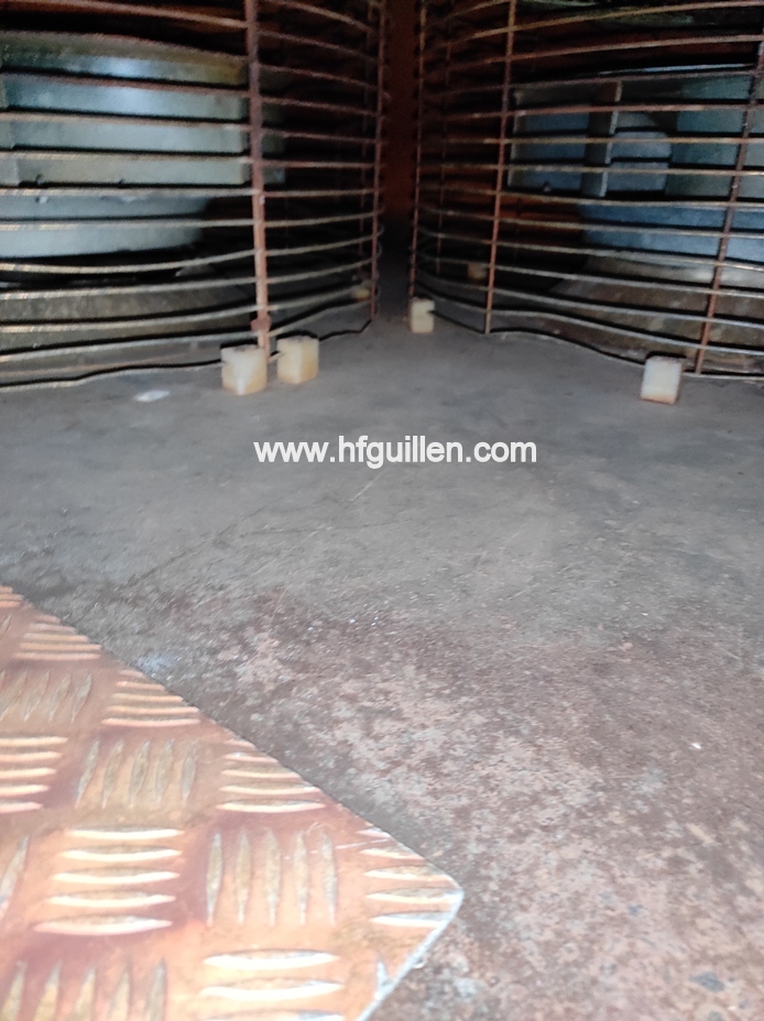 TUNNEL DI SURGELAZIONE A SPIRALE FRIGOSCANDIA in vendita - foto 7