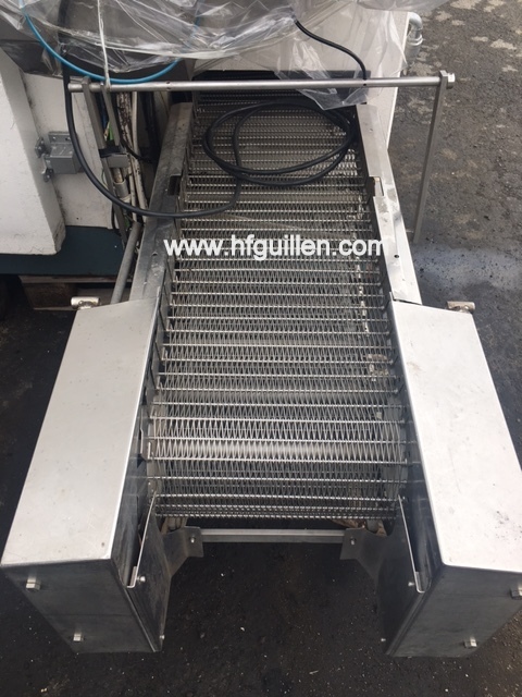 TUNNEL DI SURGELAZIONE A SPIRALE FRIGOSCANDIA in vendita - foto 2