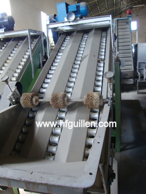 REF-429-430 DENOCCIOLATRICE DI ALBICOCCHE in vendita - foto 2