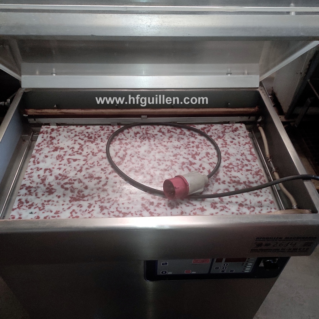 REF-2614 MACCHINA SOTTOVUOTO INELVI CON GAS INERTE in vendita - foto 6