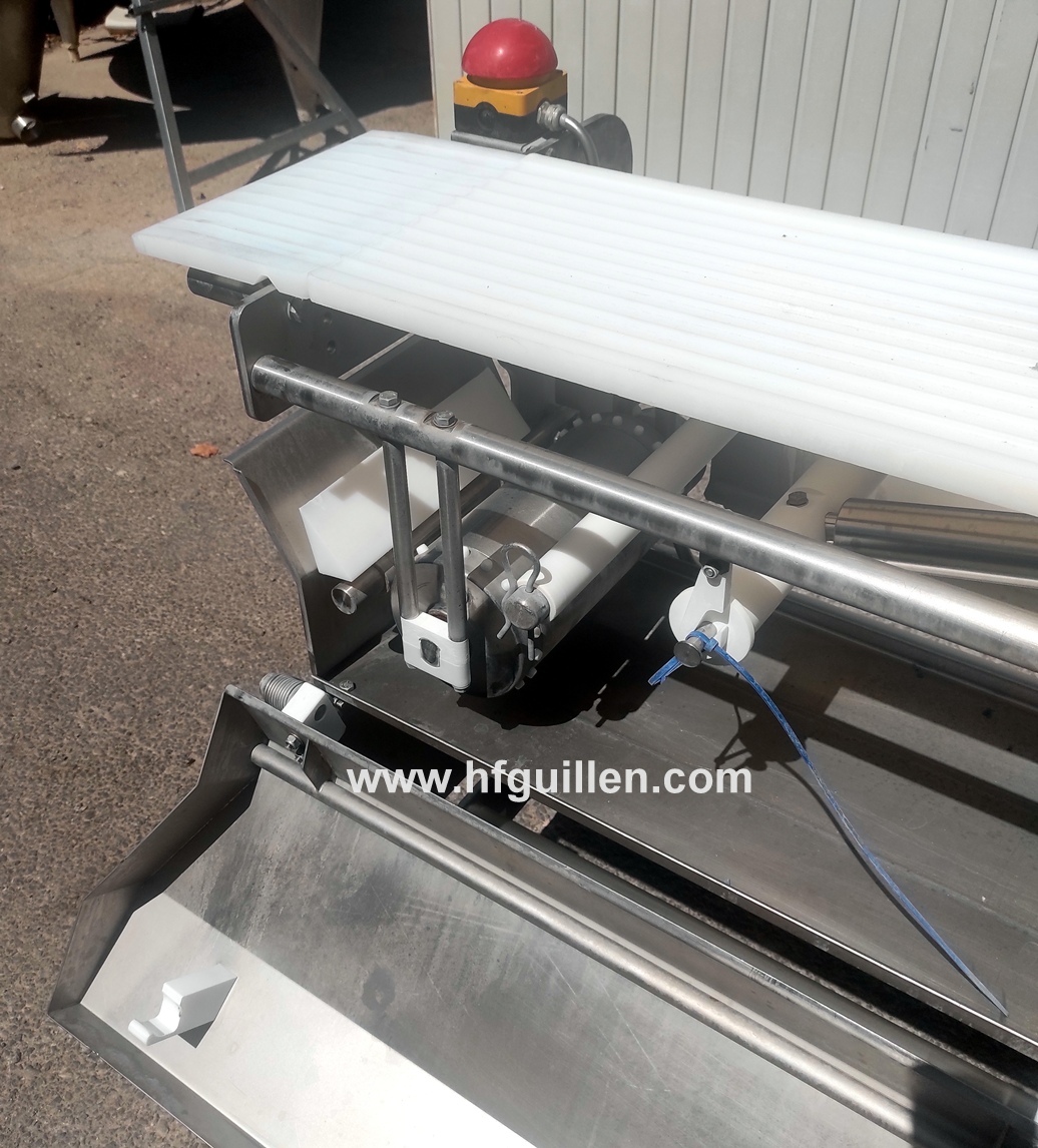TAGLIERINA PORZIONATRICE MAREL LASER EYE IPM3 X300 in vendita - foto 10